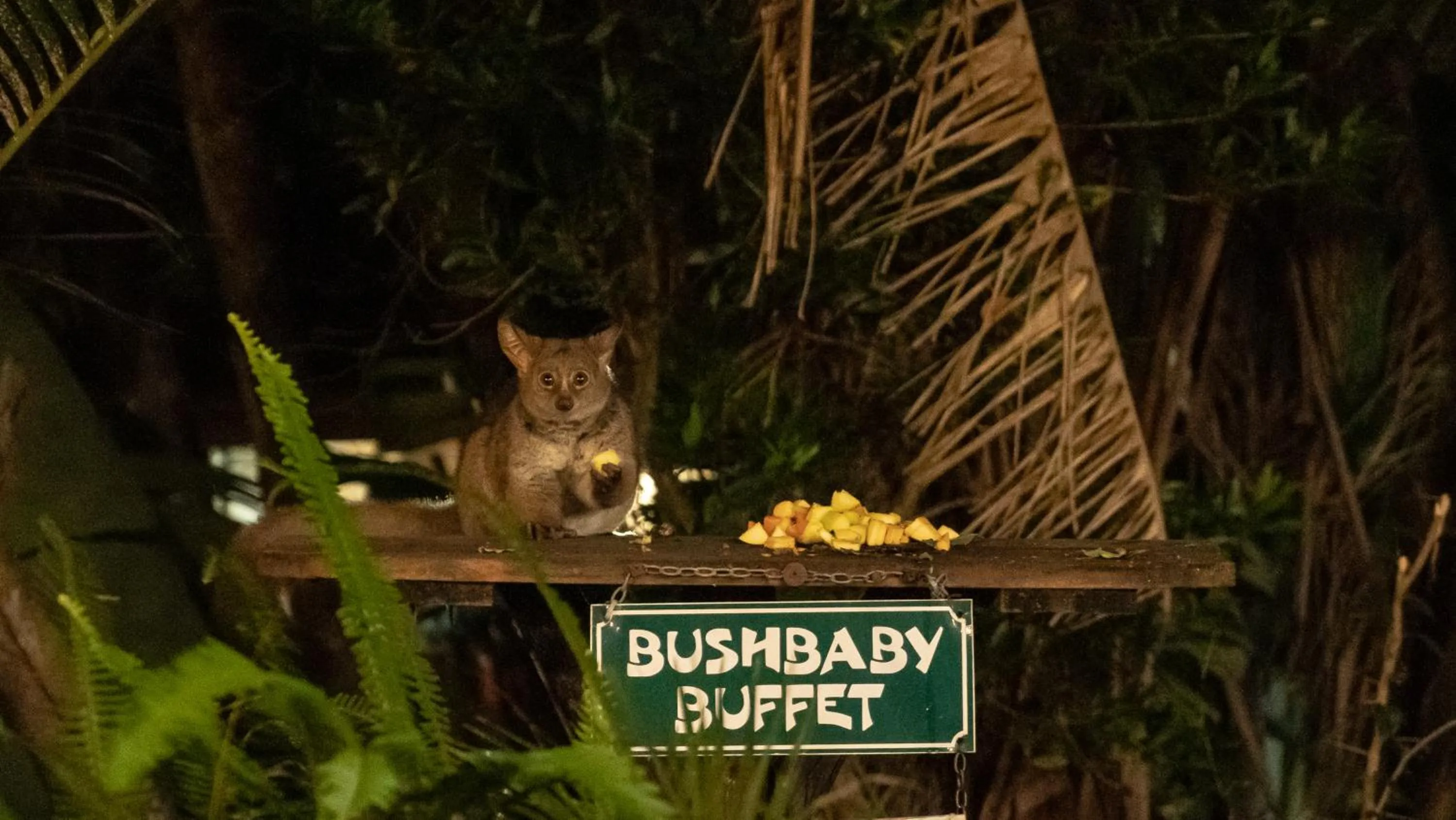 Property building in Gooderson Bushlands Game Lodge
