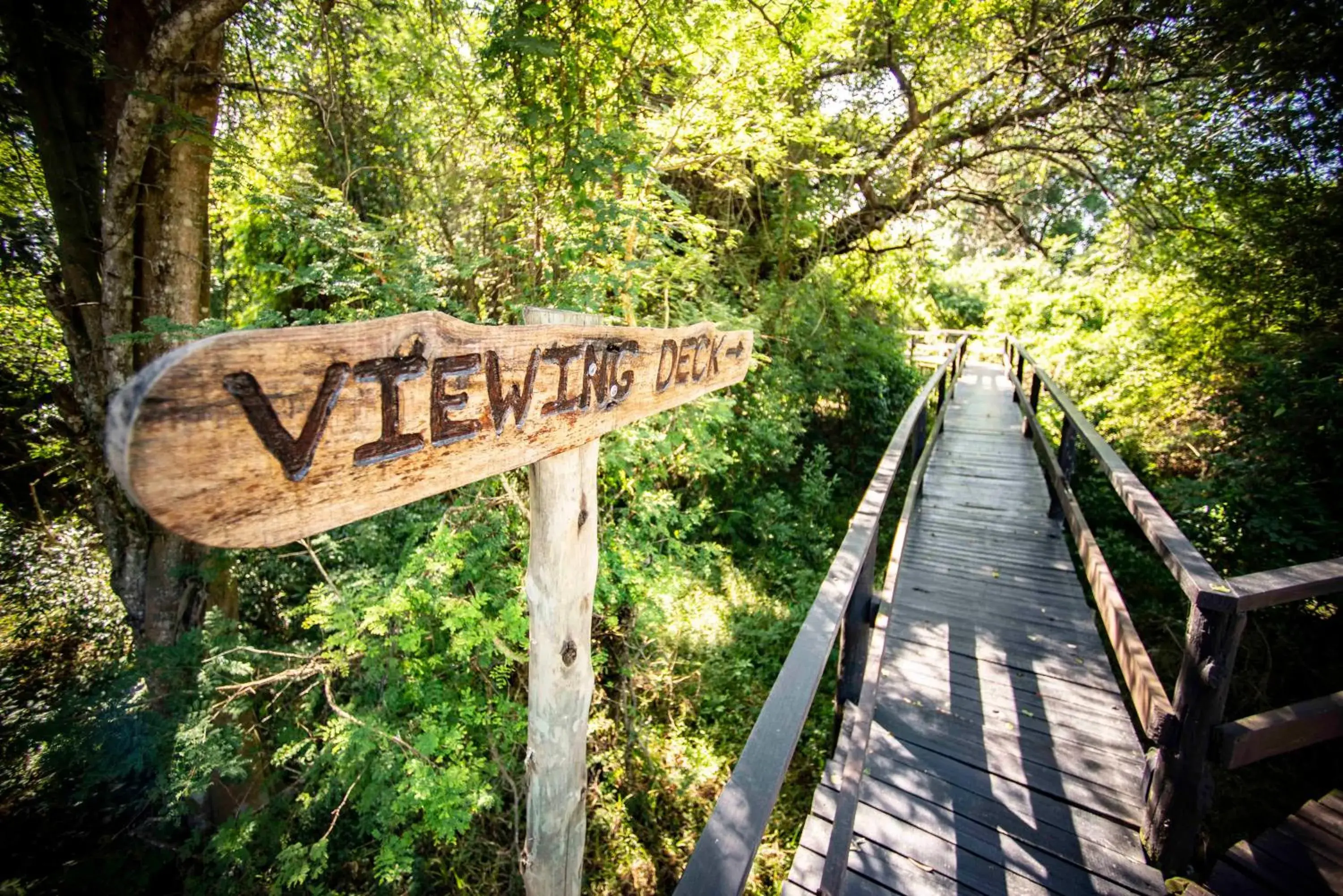 View (from property/room) in Gooderson Bushlands Game Lodge View (from property/room) in Gooderson Bushlands Game Lodge