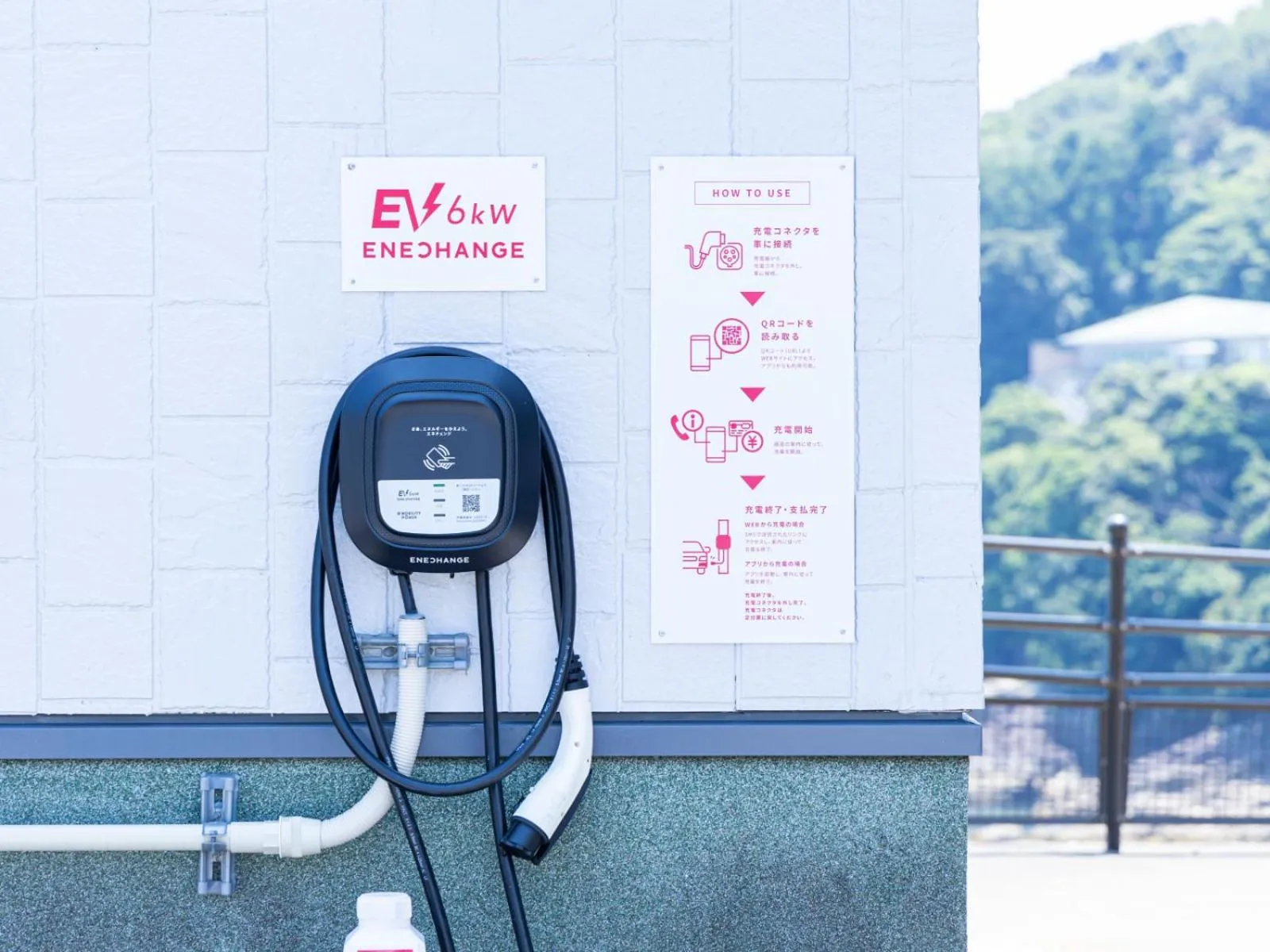 Area and facilities in Hotel Nami