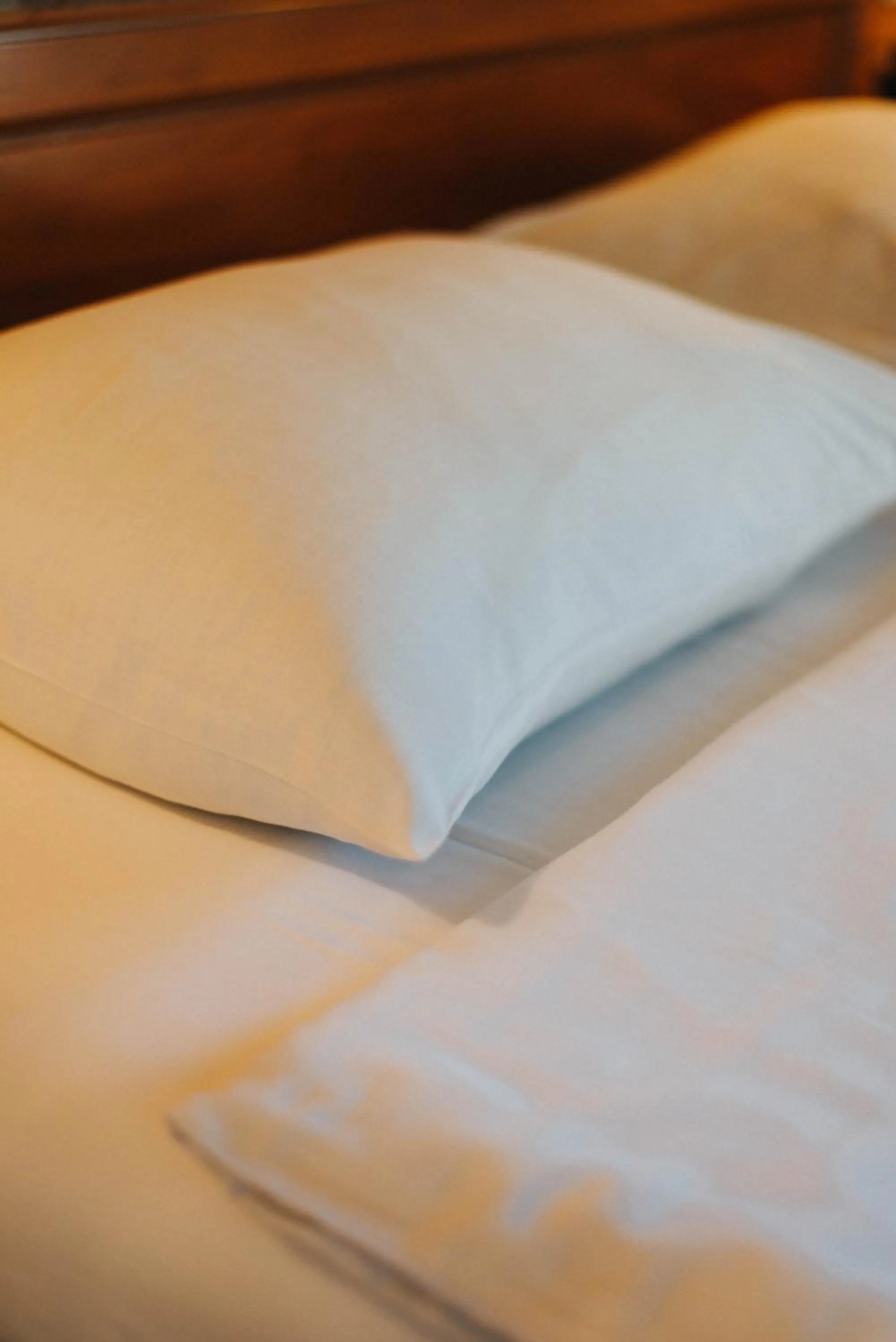 Decorative detail, Bed in Geneva Park Hotel