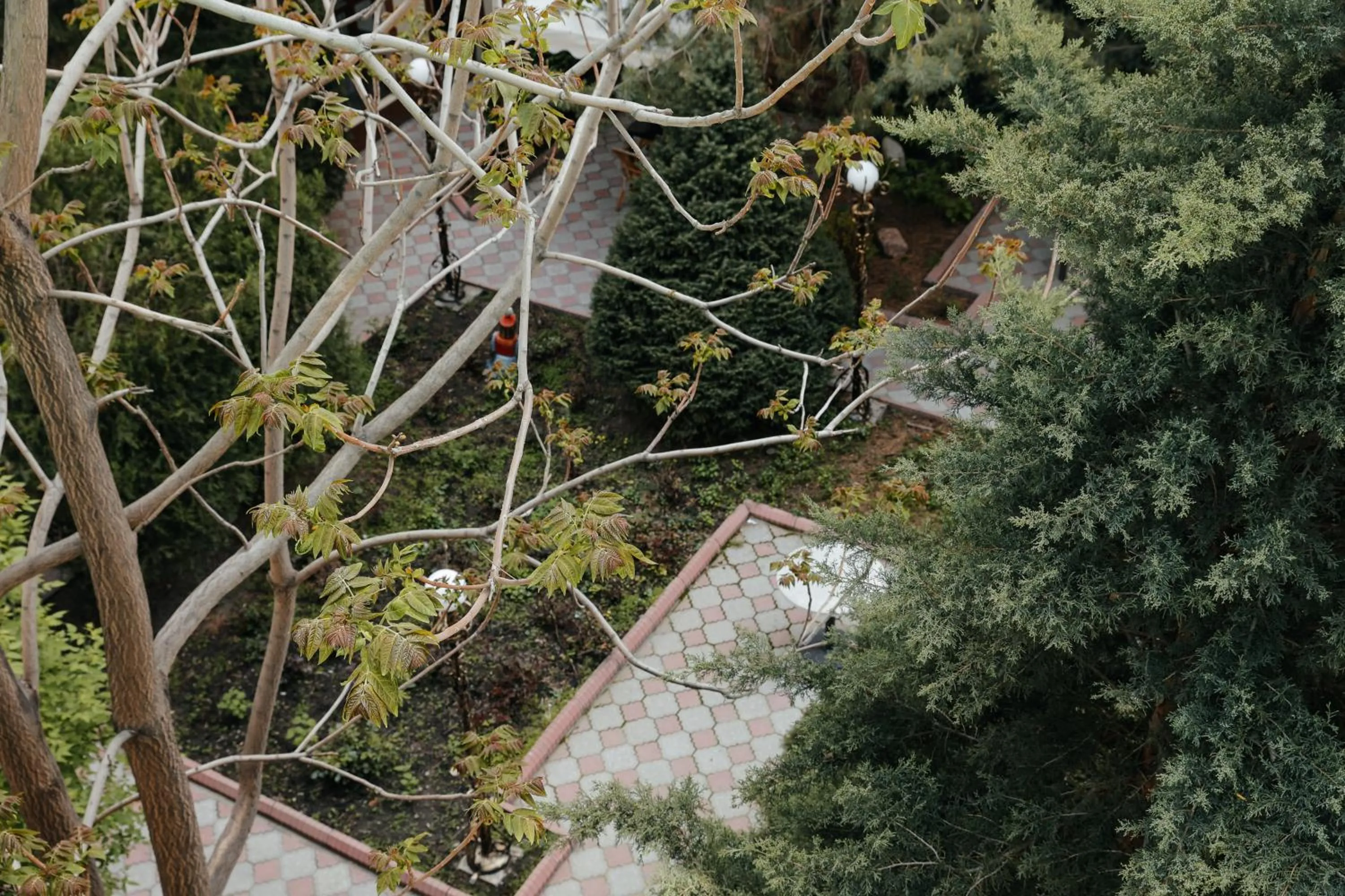 Spring in Grand Hotel