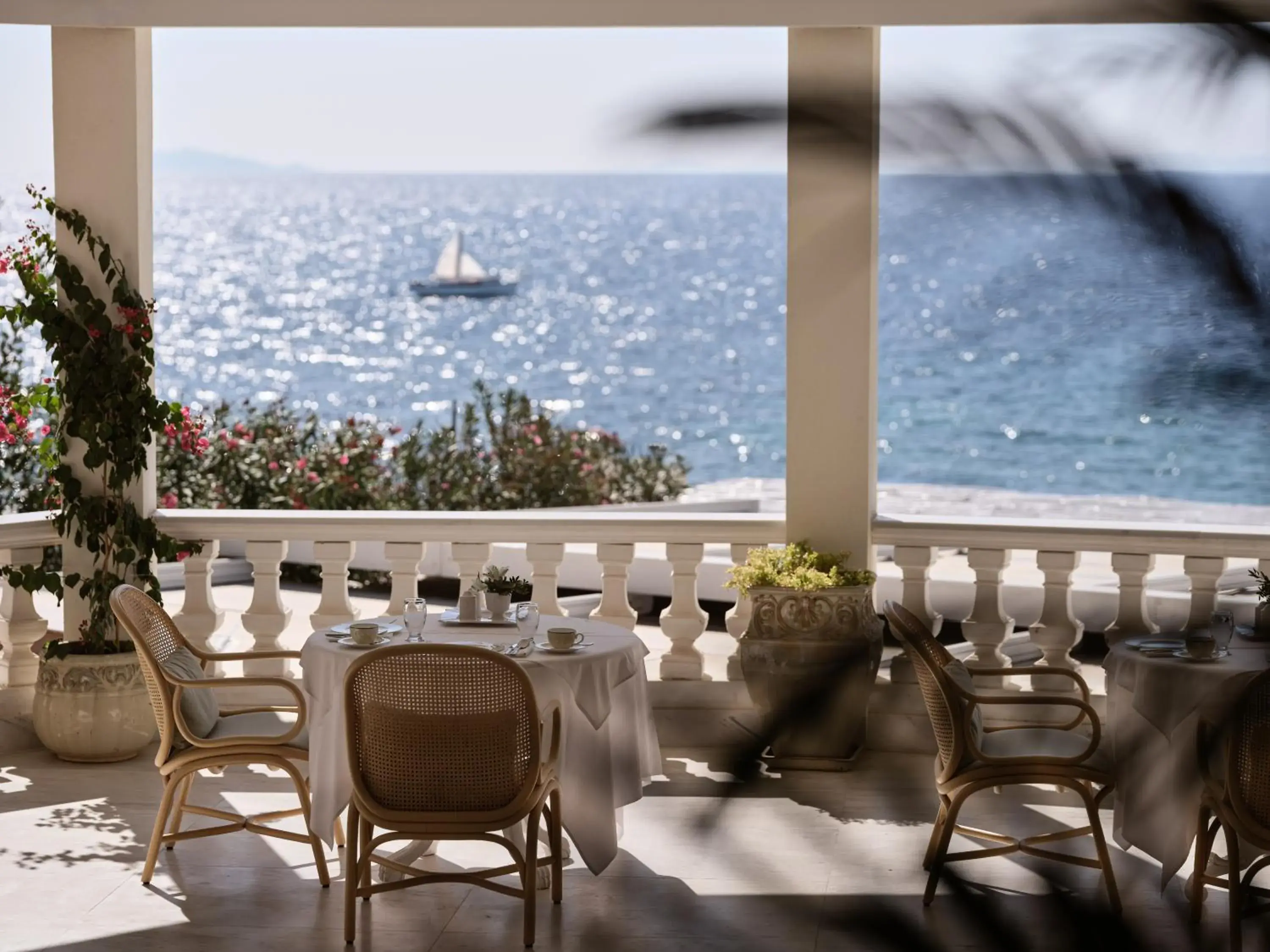 Restaurant/places to eat in The Danai Restaurant/places to eat in The Danai