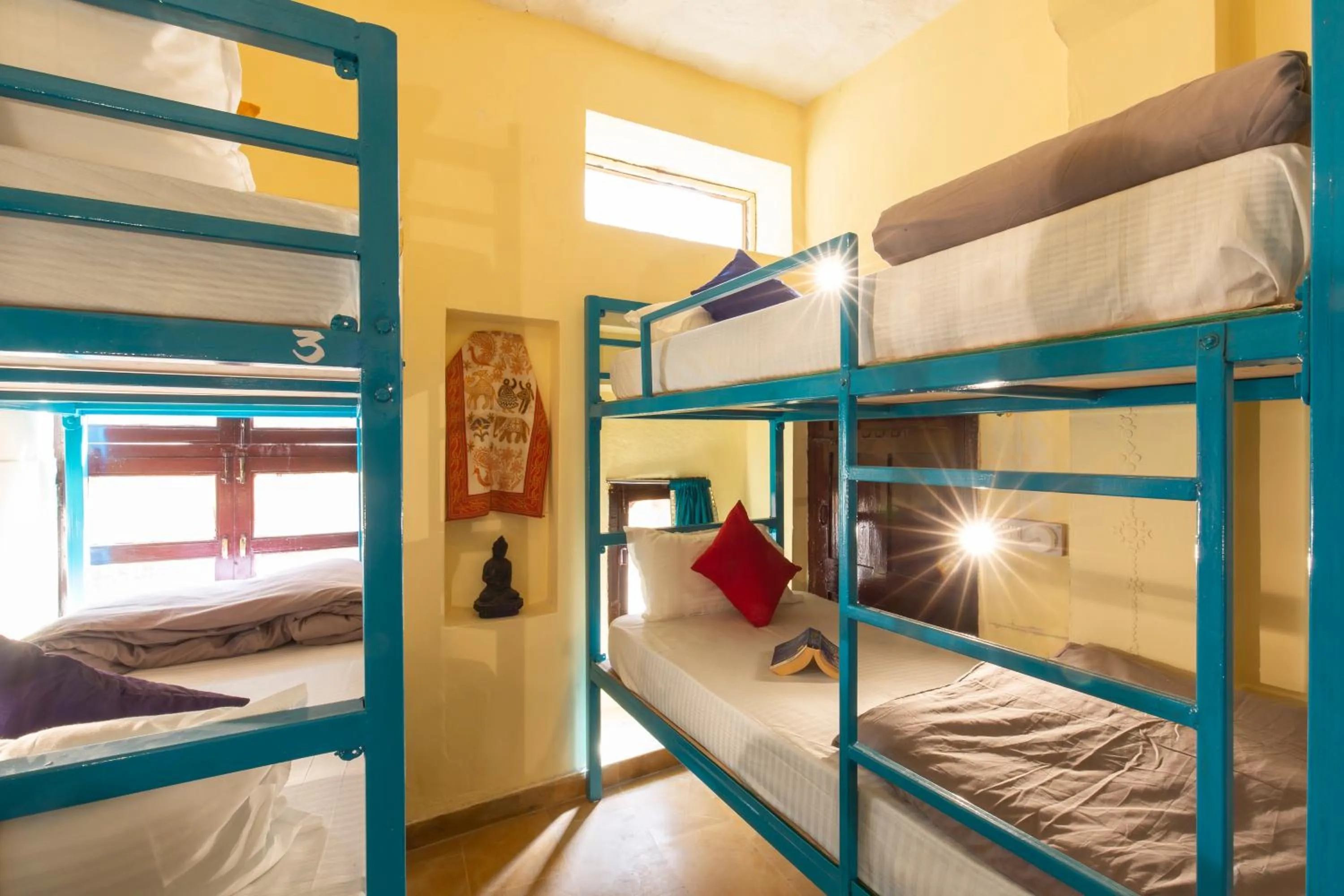 bunk bed, Bed in Zostel Jaisalmer