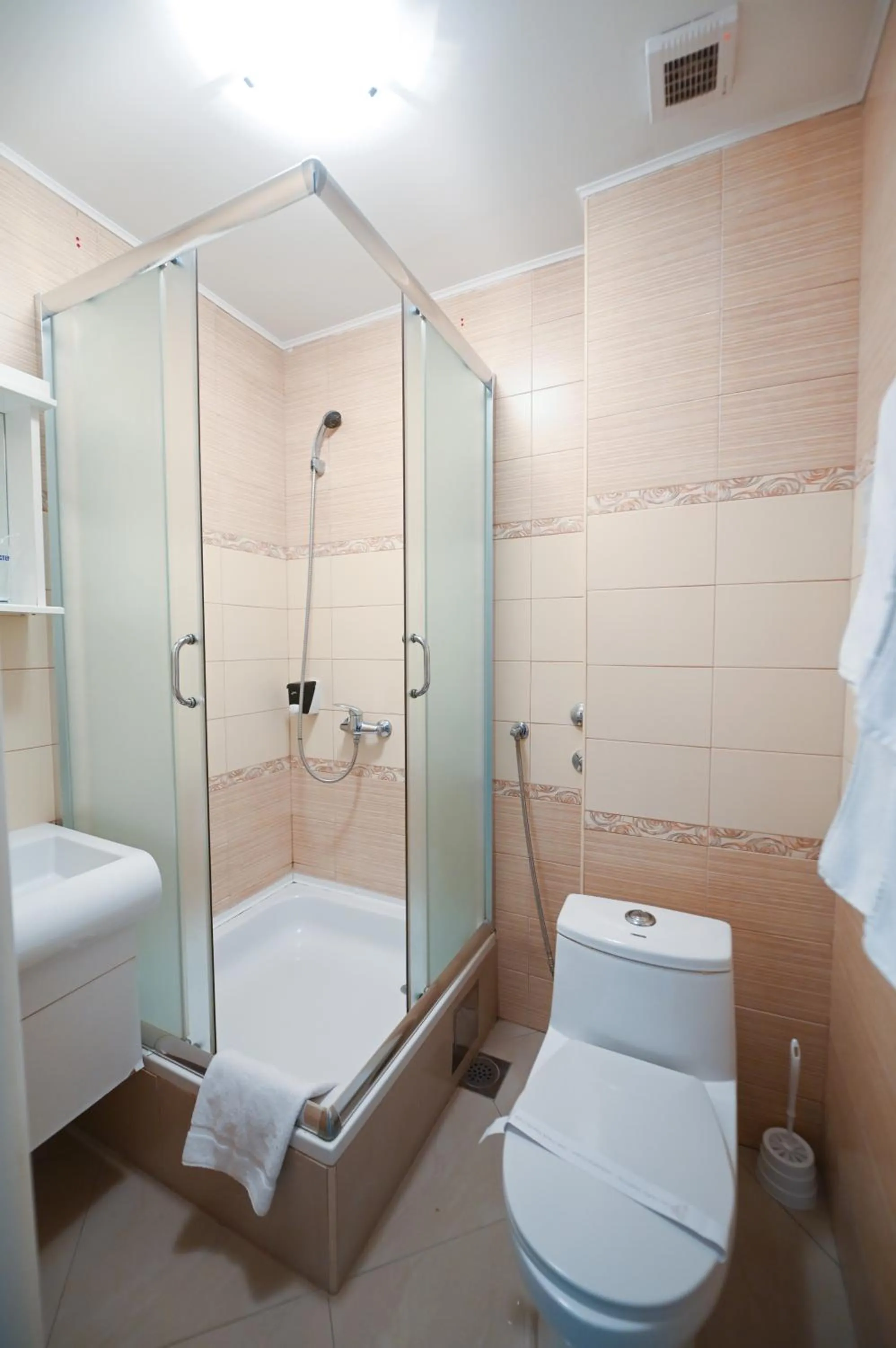 Toilet in Garni Hotel Dash