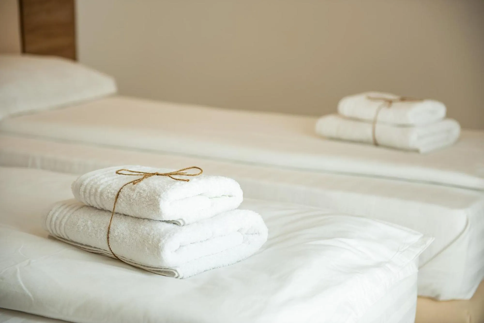 Bed in Pensiunea Carul cu flori