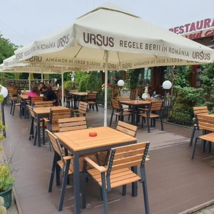 Balcony/Terrace in Pensiunea Carul cu flori