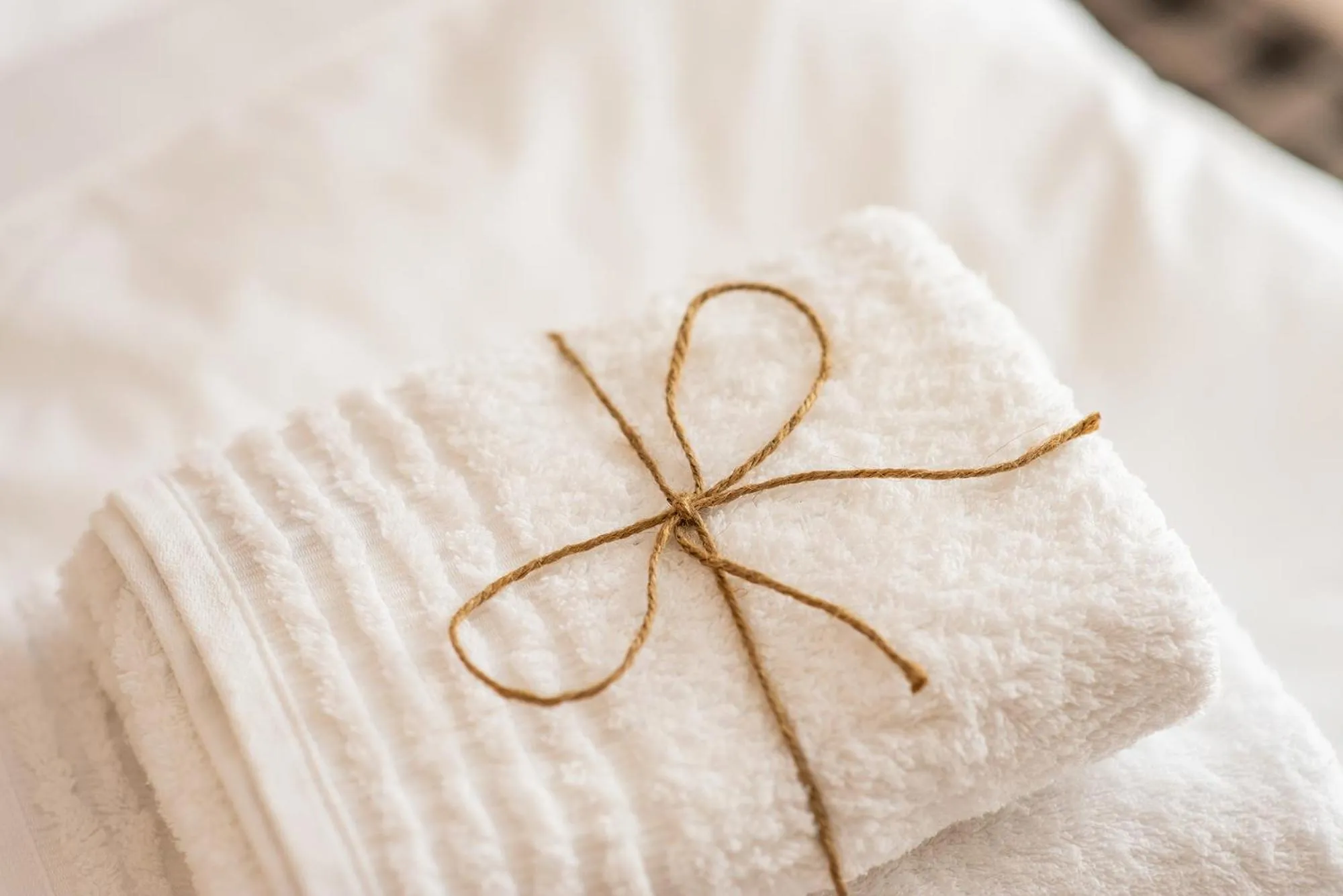 Bed in Pensiunea Carul cu flori