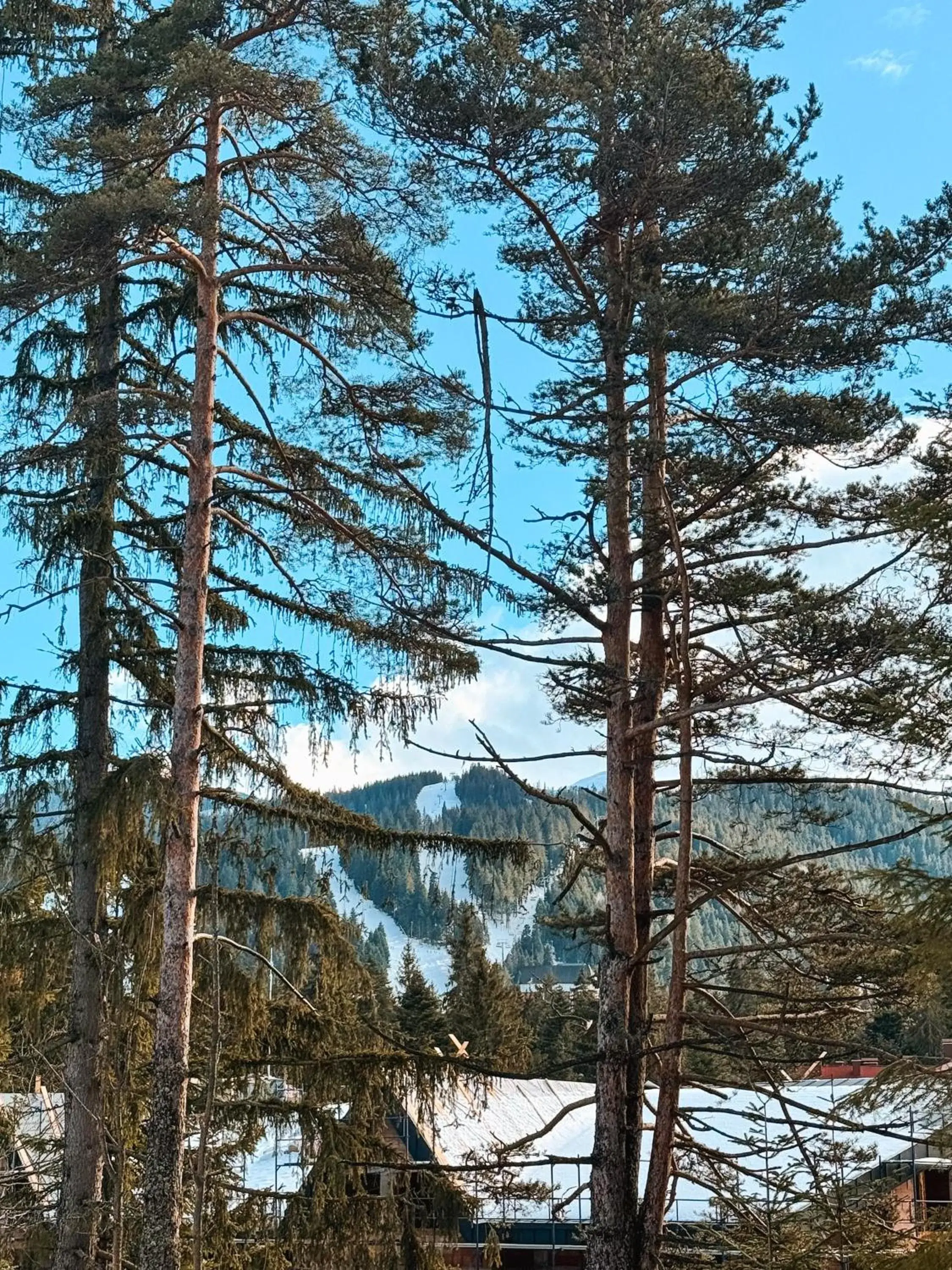 View (from property/room) in Hotel Borovets Edelweiss View (from property/room) in Hotel Borovets Edelweiss