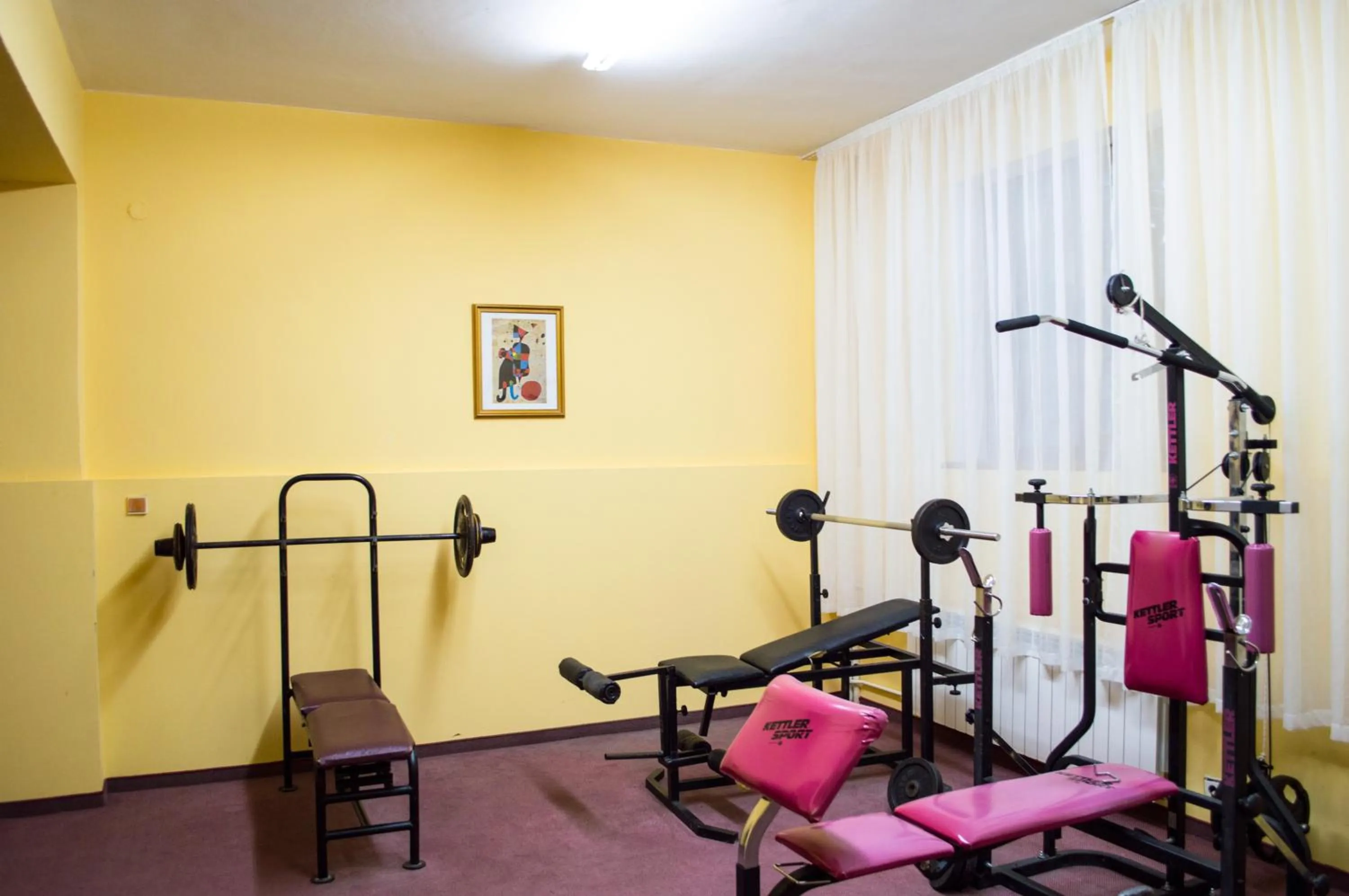Fitness centre/facilities in Hotel Borovets Edelweiss