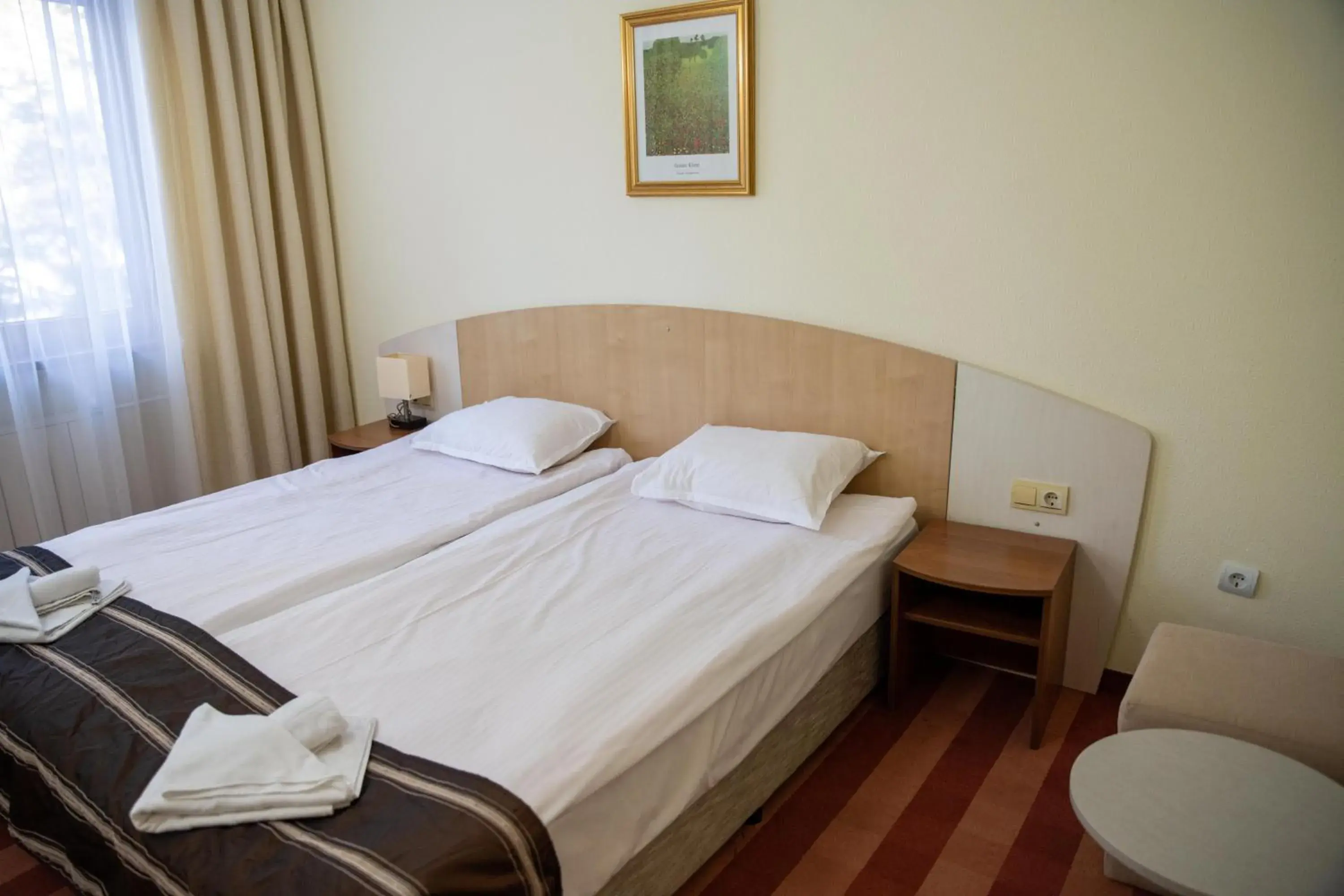 Double or Twin Room (2 Adults + 1 Child) with Ski Shuttle in Hotel Borovets Edelweiss Double or Twin Room (2 Adults + 1 Child) with Ski Shuttle in Hotel Borovets Edelweiss
