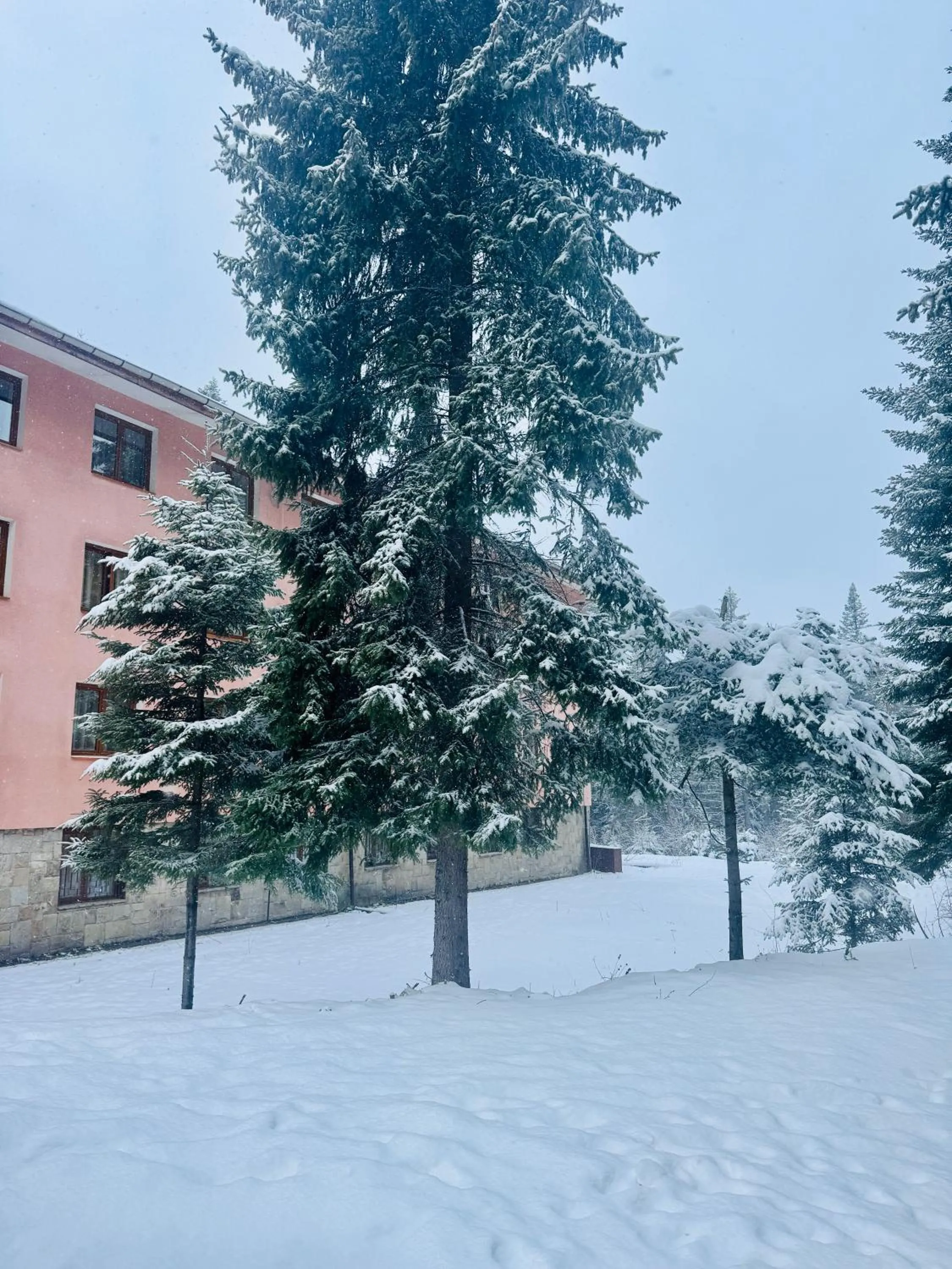 Property building in Hotel Borovets Edelweiss