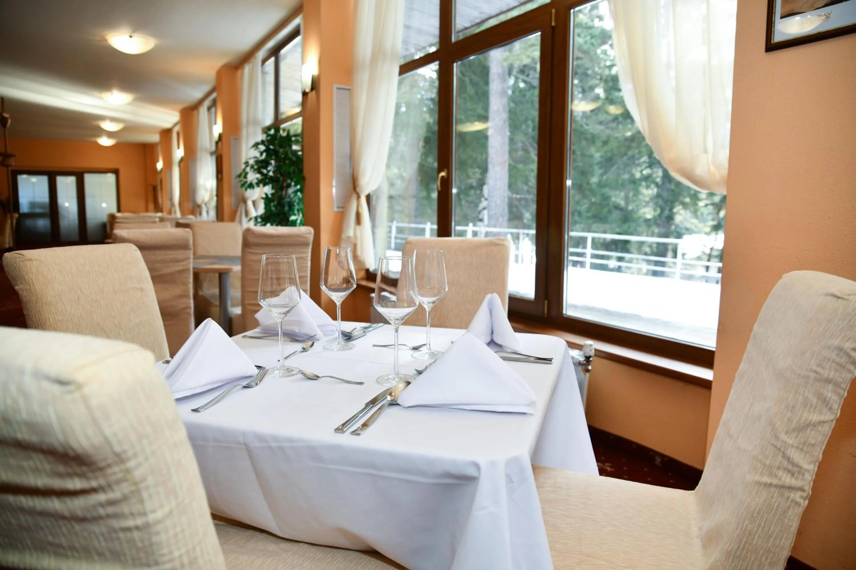 Restaurant/places to eat in Hotel Borovets Edelweiss