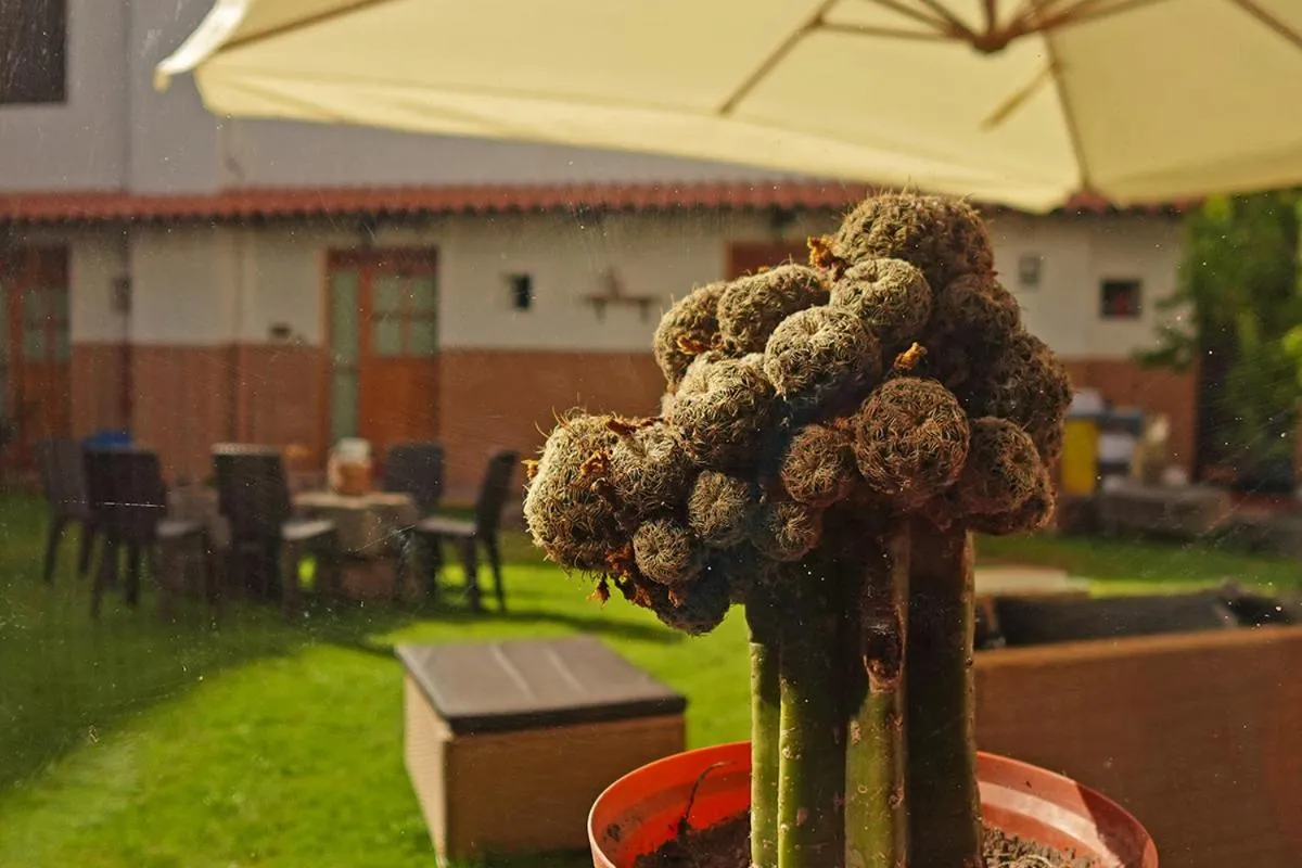 Day in Hotel Monasterio San Pedro