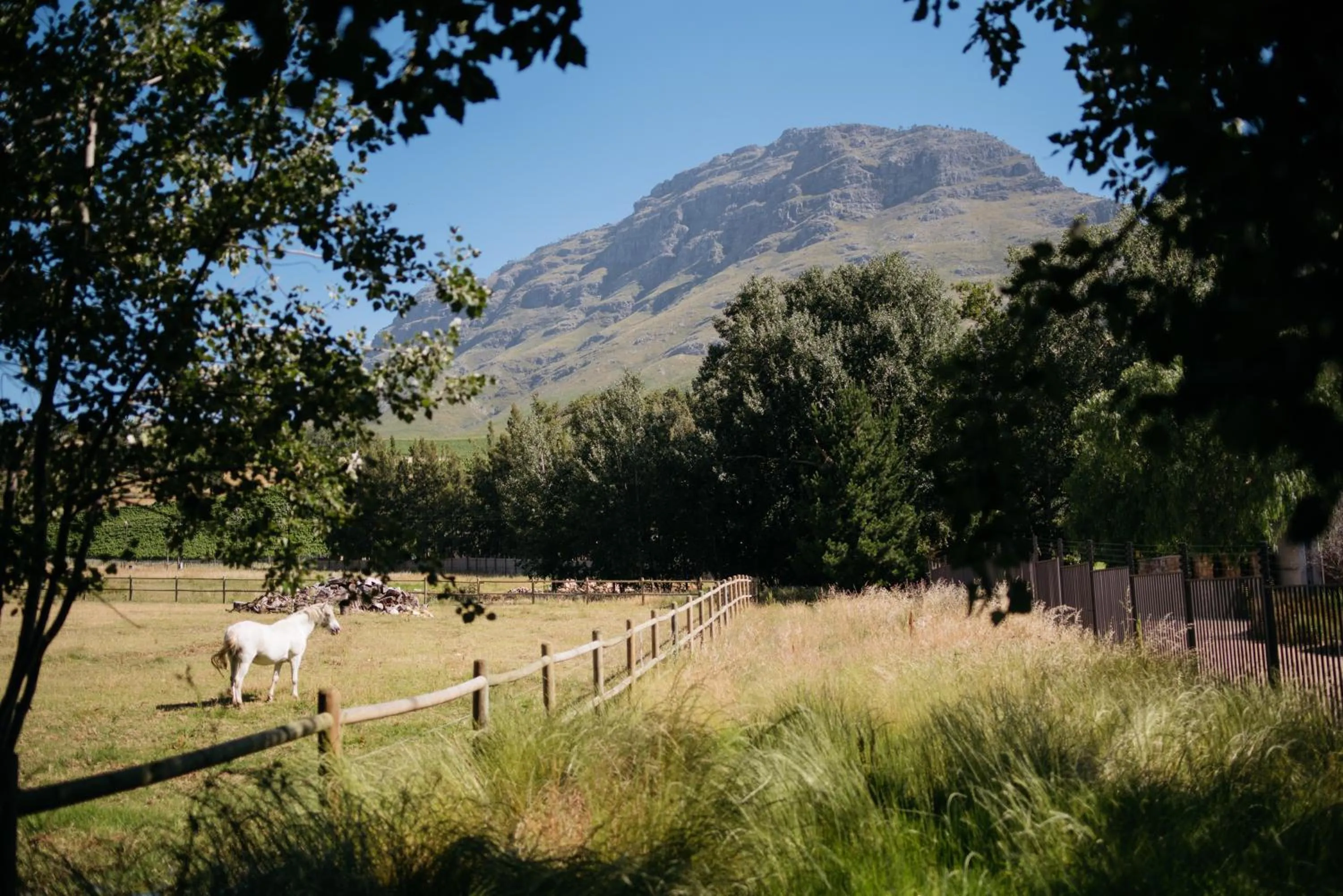 Neighbourhood in Simonzicht Guest House