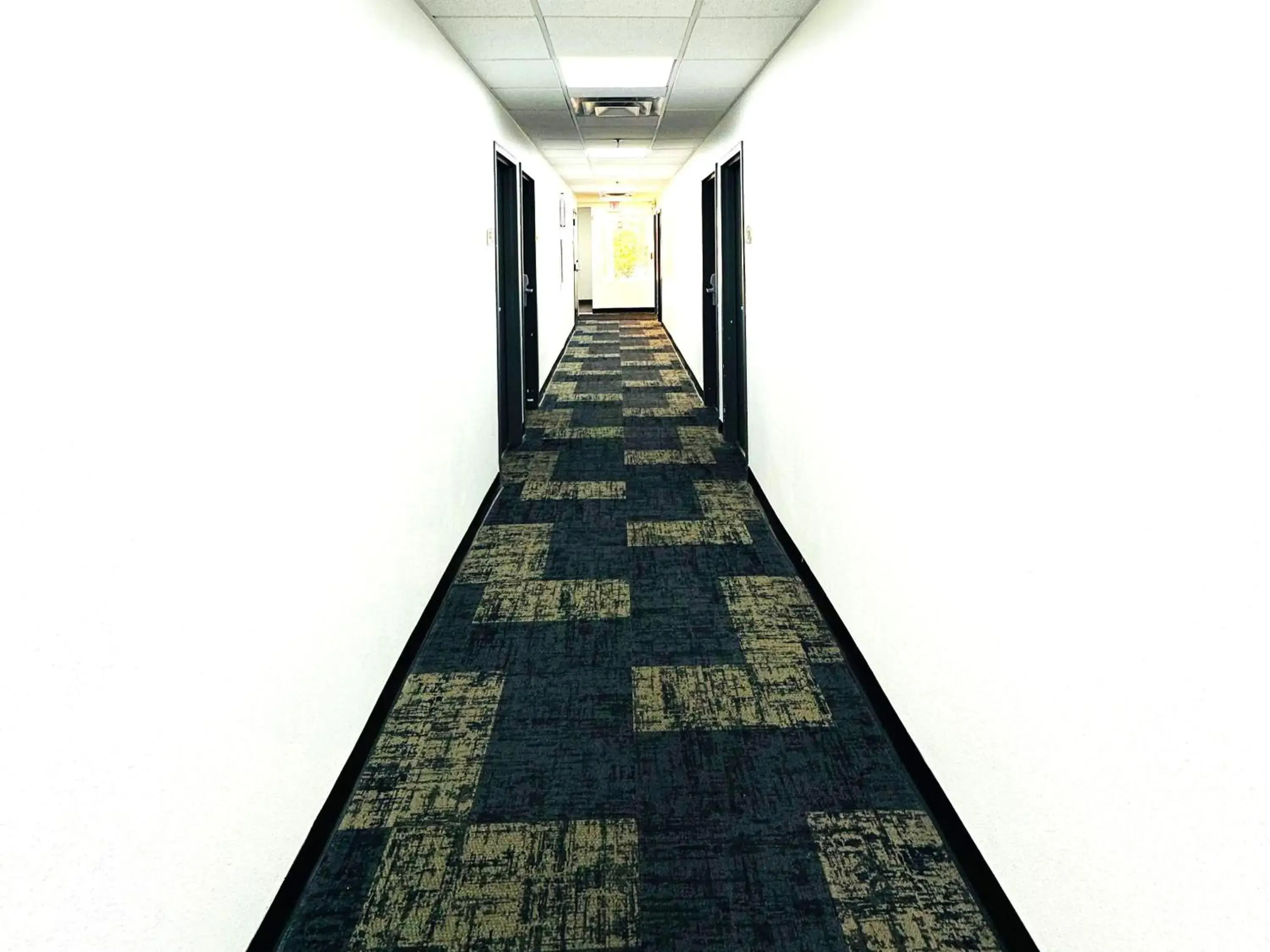 Lobby or reception in Baymont Inn and Suites by Wyndham Columbus / Near OSU Lobby or reception in Baymont Inn and Suites by Wyndham Columbus / Near OSU