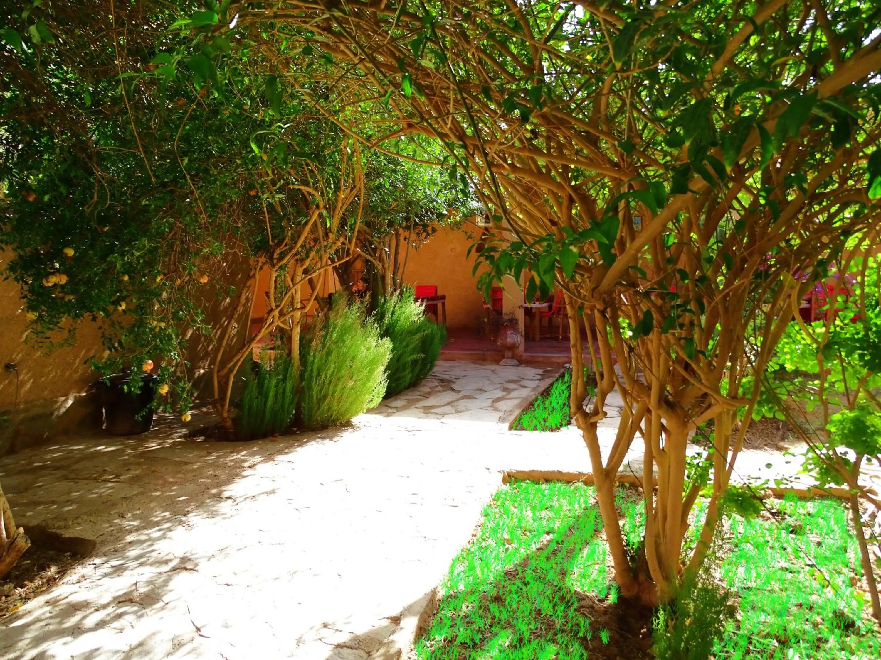 Garden in Maison Nomades