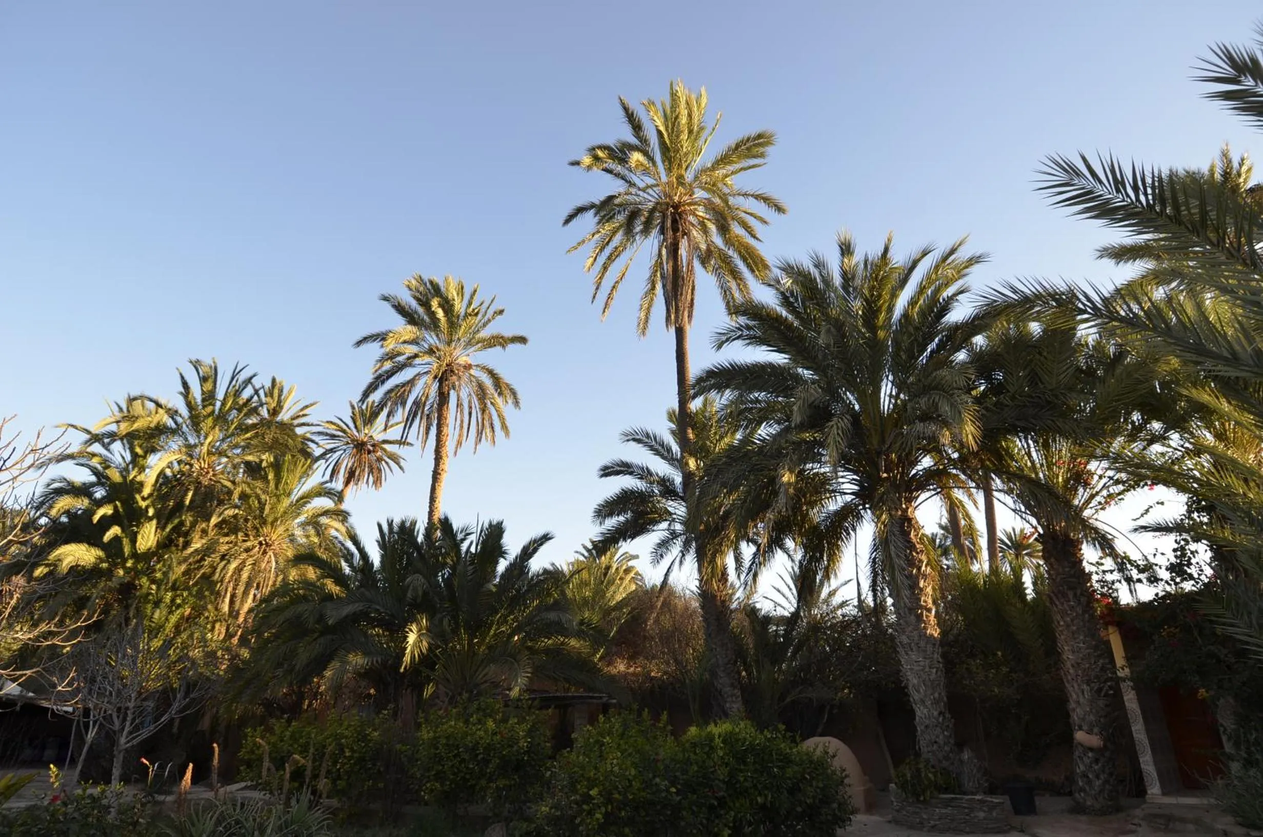 Breakfast in Maison Nomades