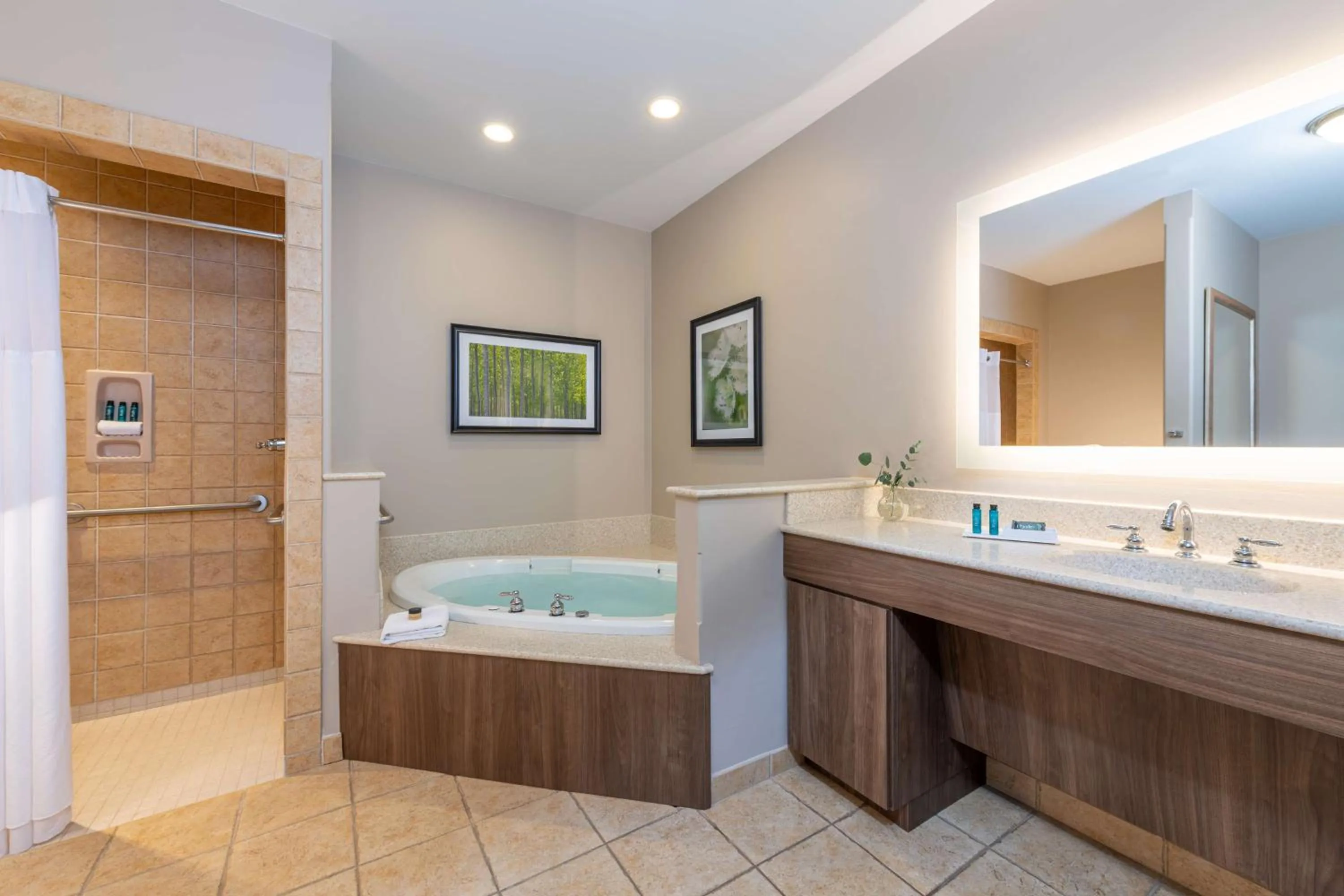 Bathroom in Best Western Plus Waterbury - Stowe