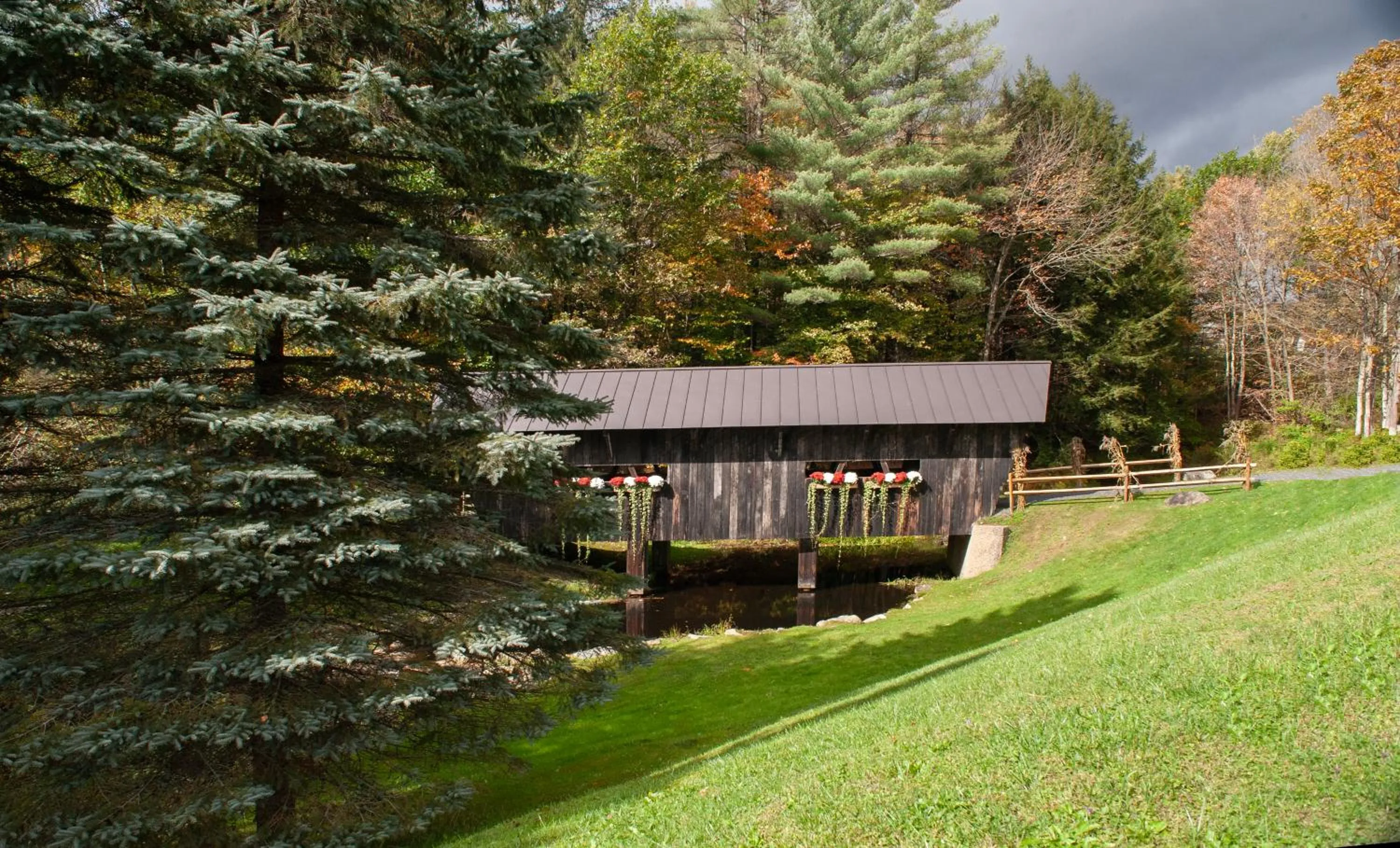 Natural landscape in Best Western Plus Waterbury - Stowe