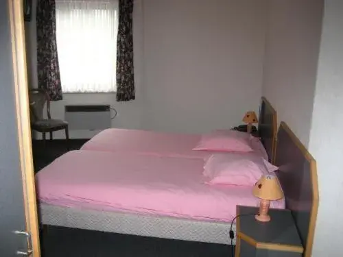 Double Room in Hotel Saint-Hubert Double Room in Hotel Saint-Hubert