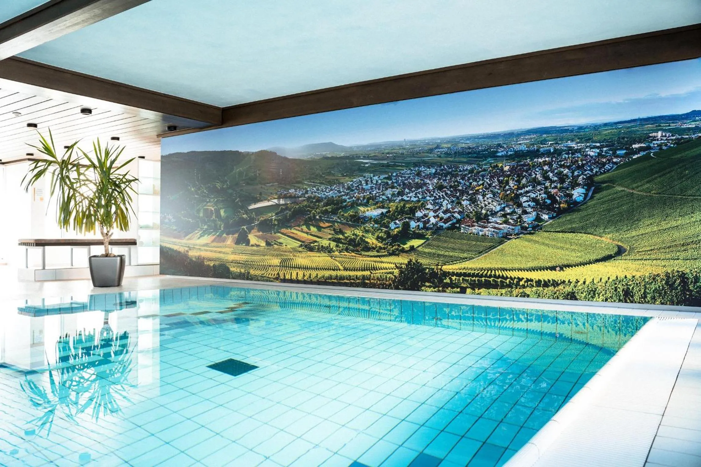 Swimming pool in Hotel Adler Asperg