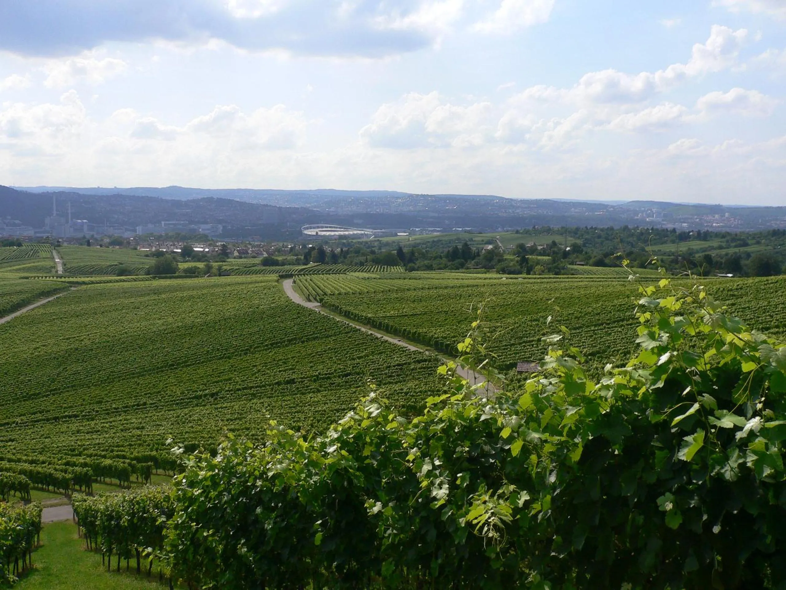Natural landscape in Hotel Adler Asperg