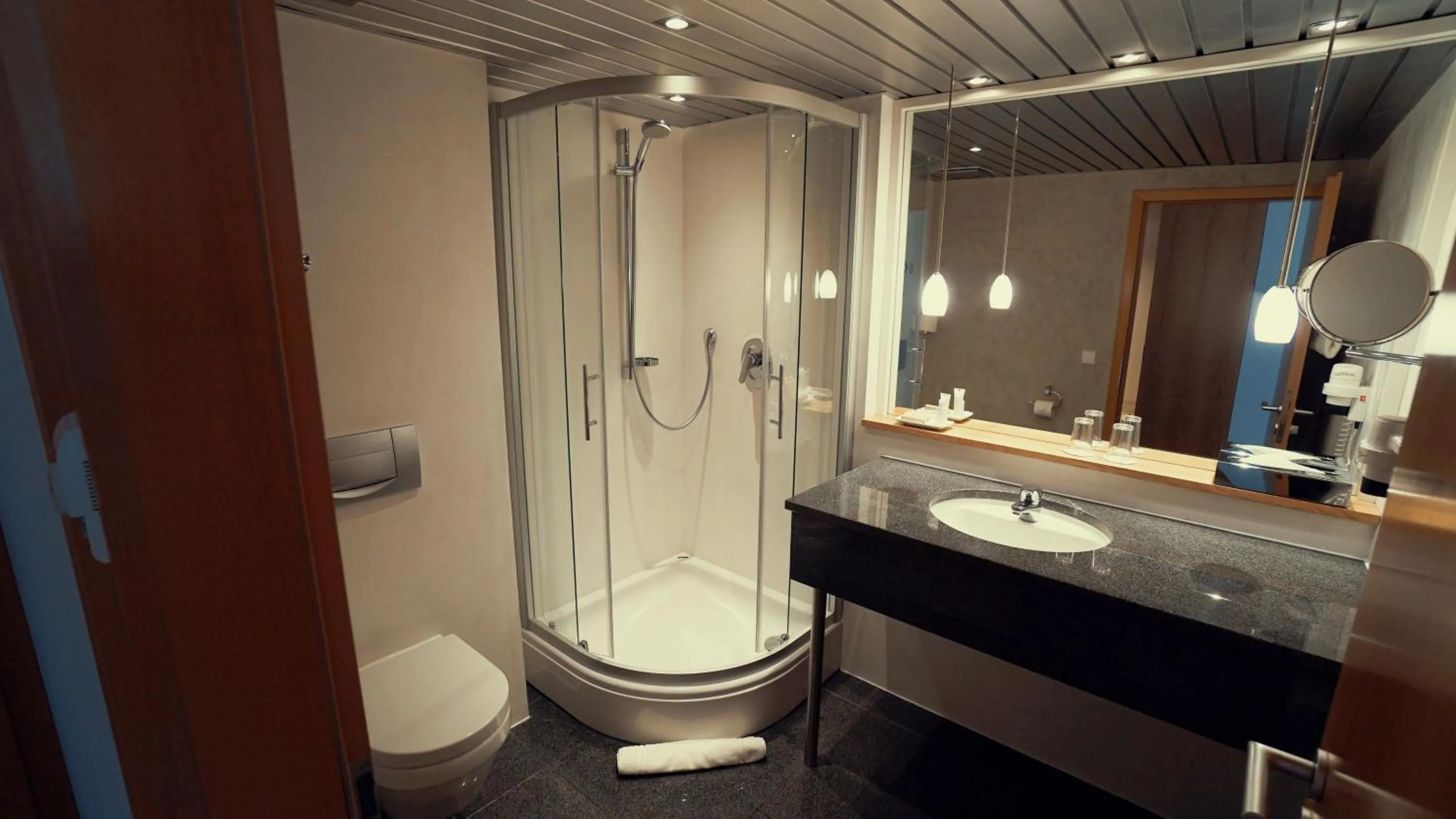 Shower in Hotel Adler Asperg