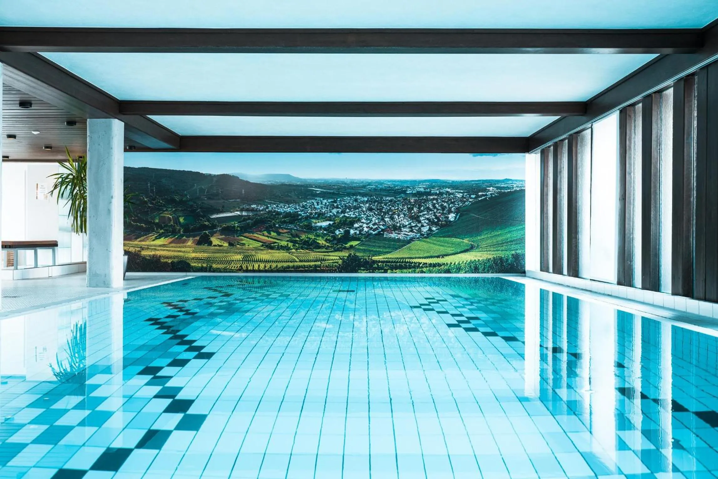 Swimming pool in Hotel Adler Asperg