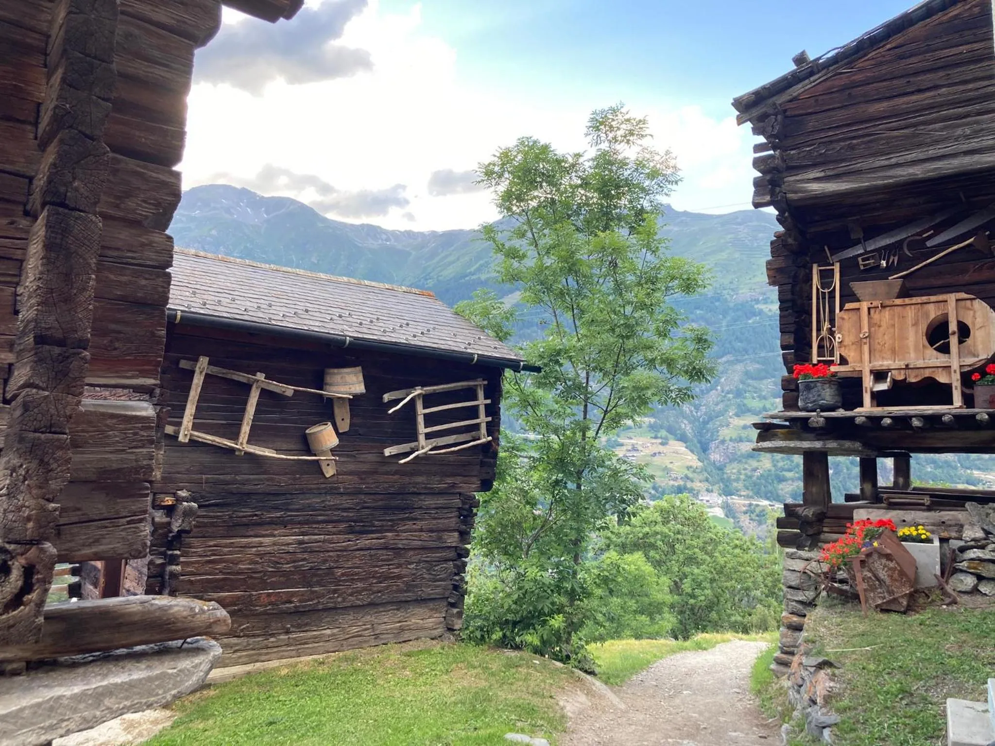 Summer in Lifestyle & Spa Hotel Grächerhof