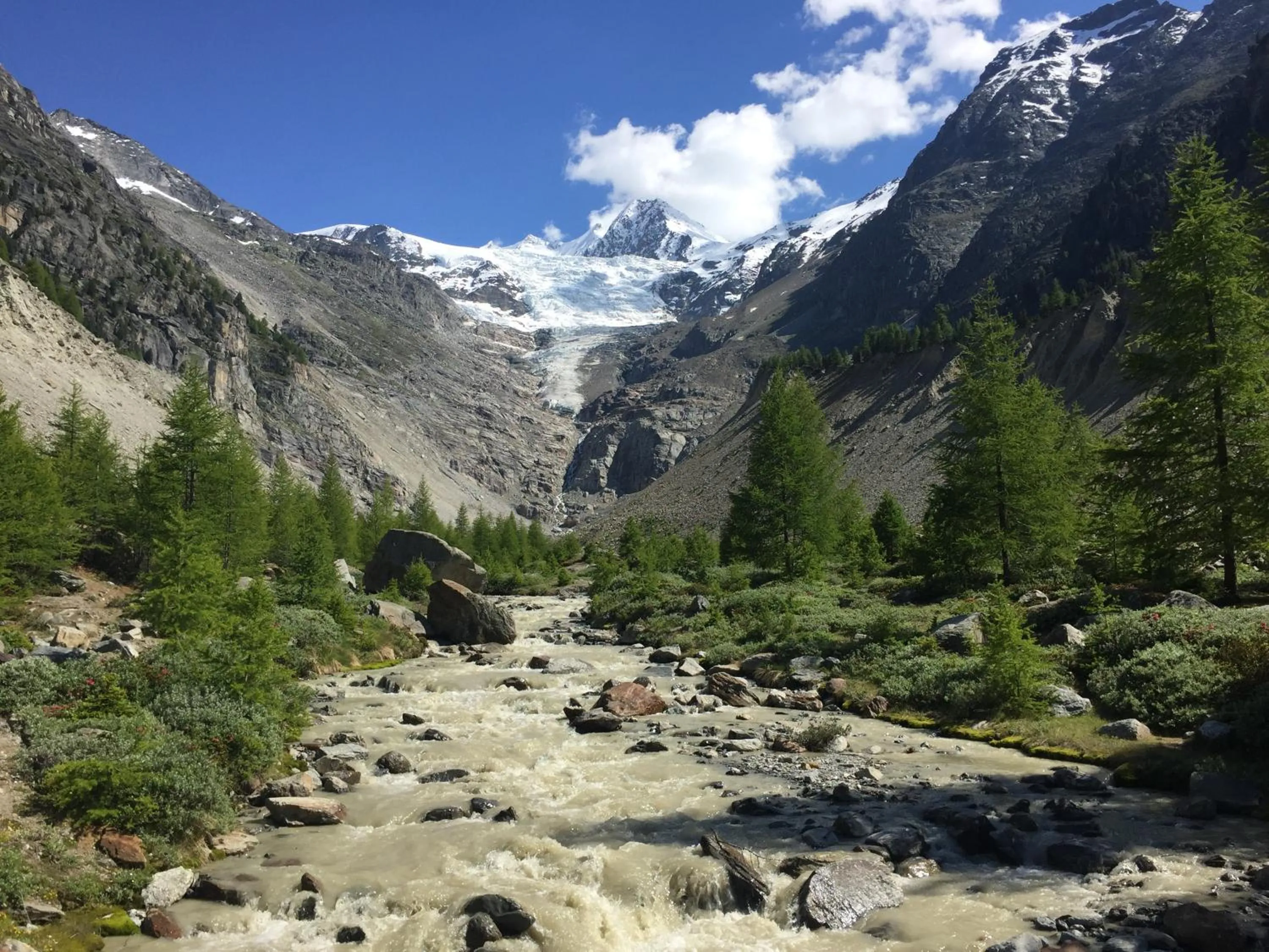 Lifestyle & Spa Hotel Grächerhof