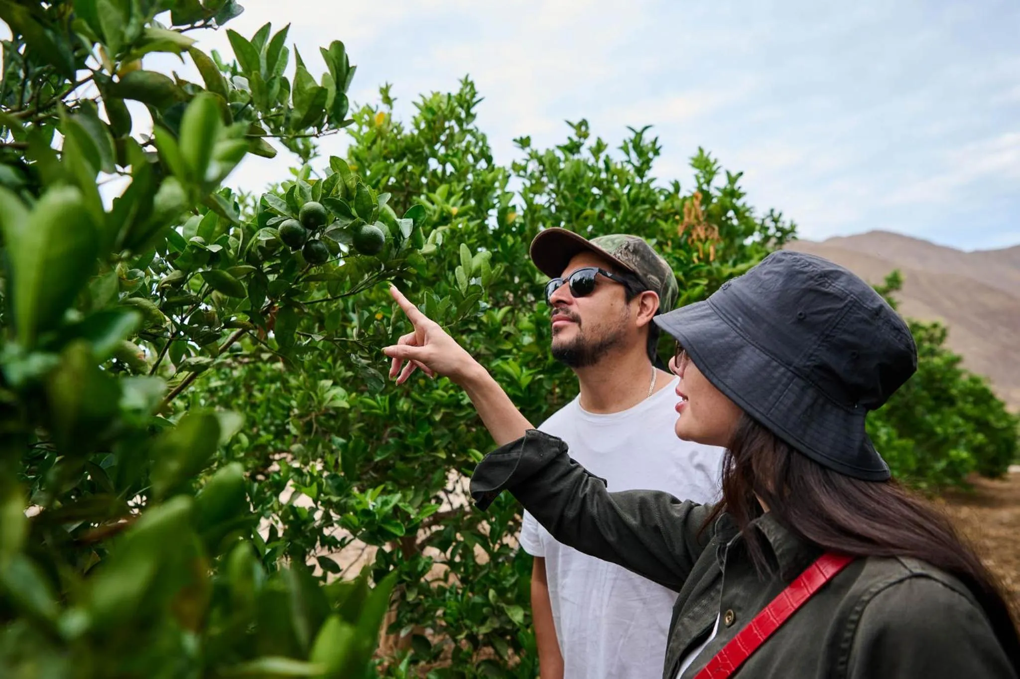 Activities in Empedrada Ranch & Lodge - Hotel Asociado Casa Andina