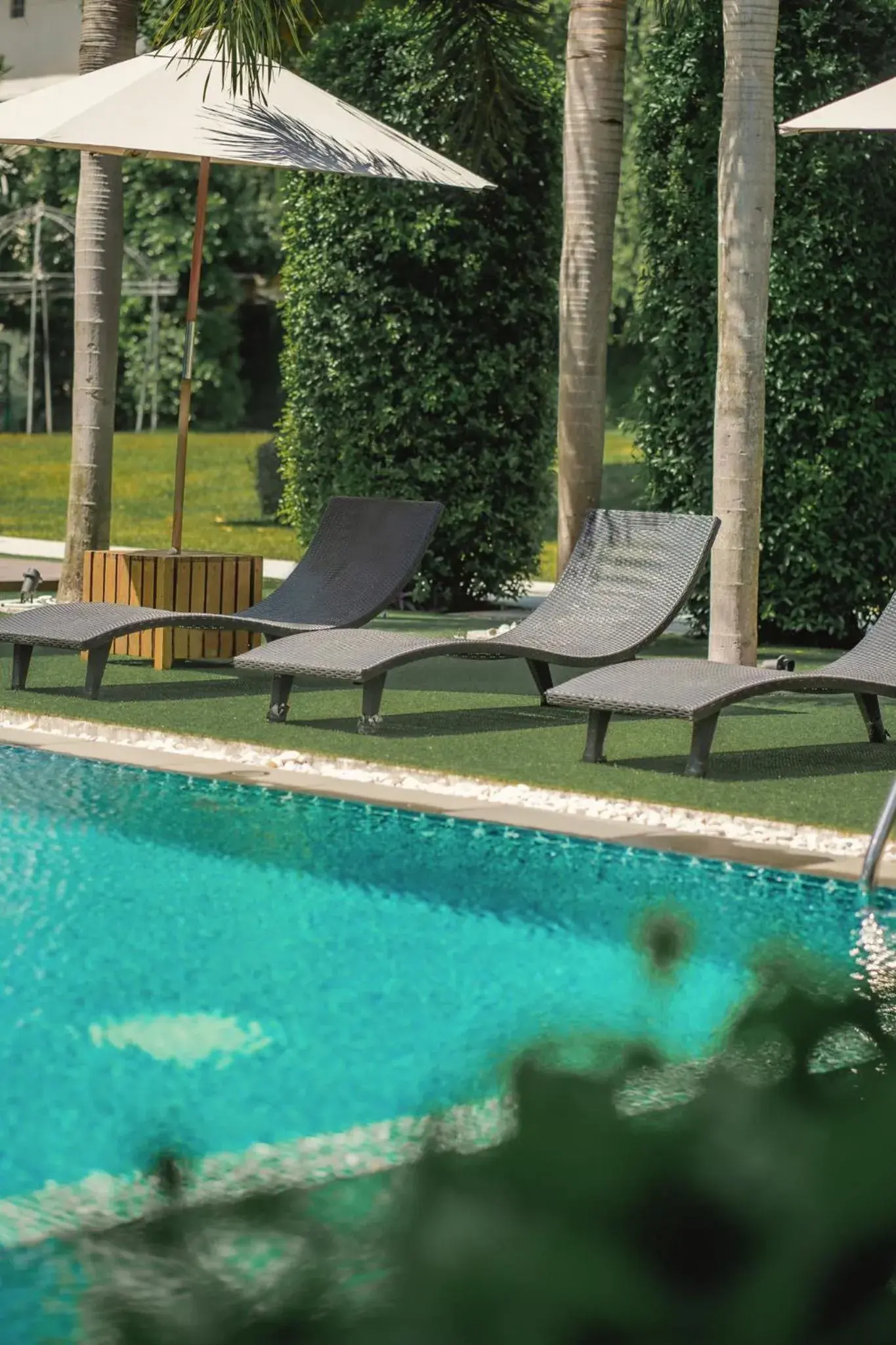 Swimming pool in The Pago Design Hotel Phuket-SHA Plus Swimming pool in The Pago Design Hotel Phuket-SHA Plus