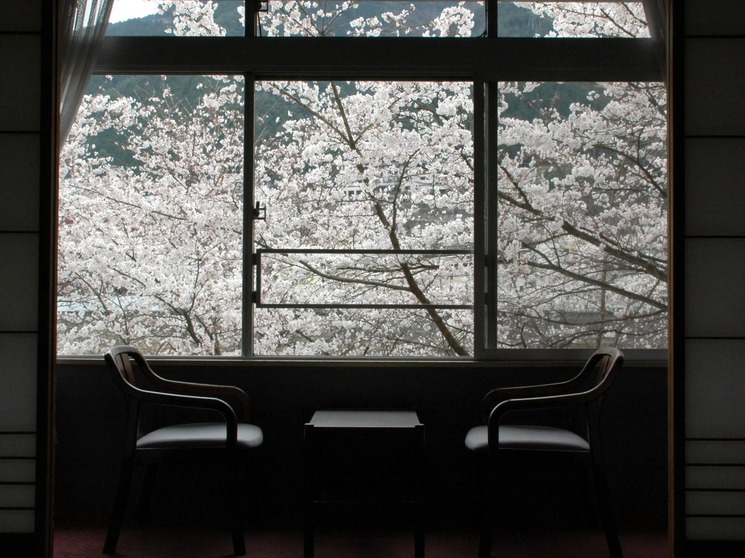 River view in Yamagataya