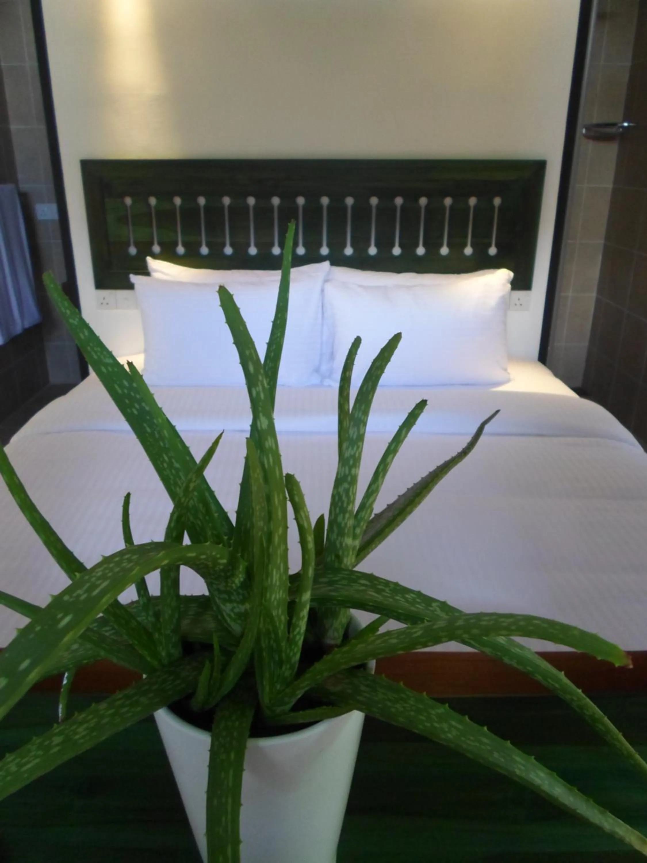 Bed in Sennya Resorts