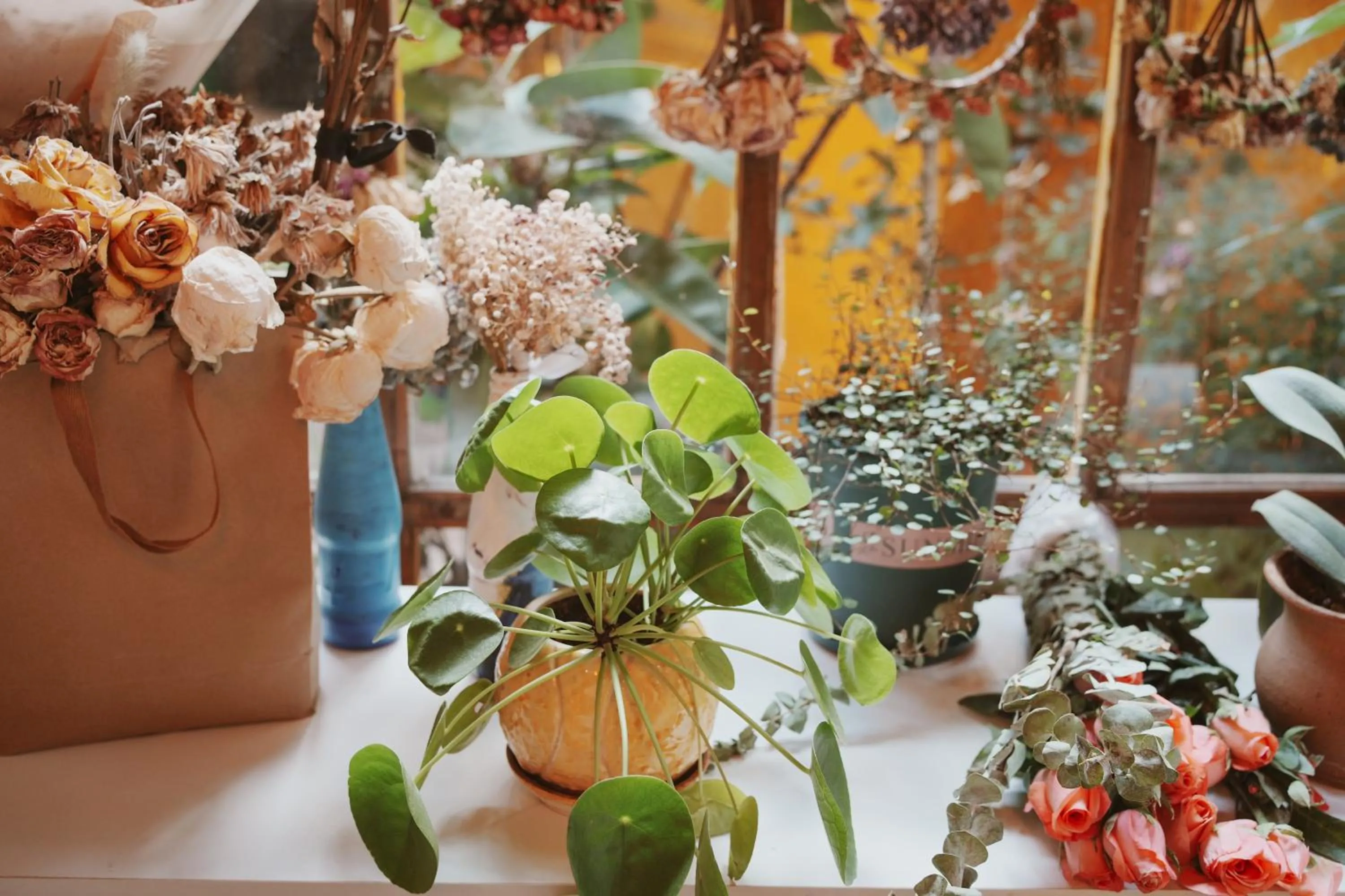 Restaurant/places to eat in The Cloudland International Youth Hostel Close to the city center,15 min walks to the subway, Close to the night market, old street, green lake, English-speaking service, free Activity convenient payment and visa cards are accepted