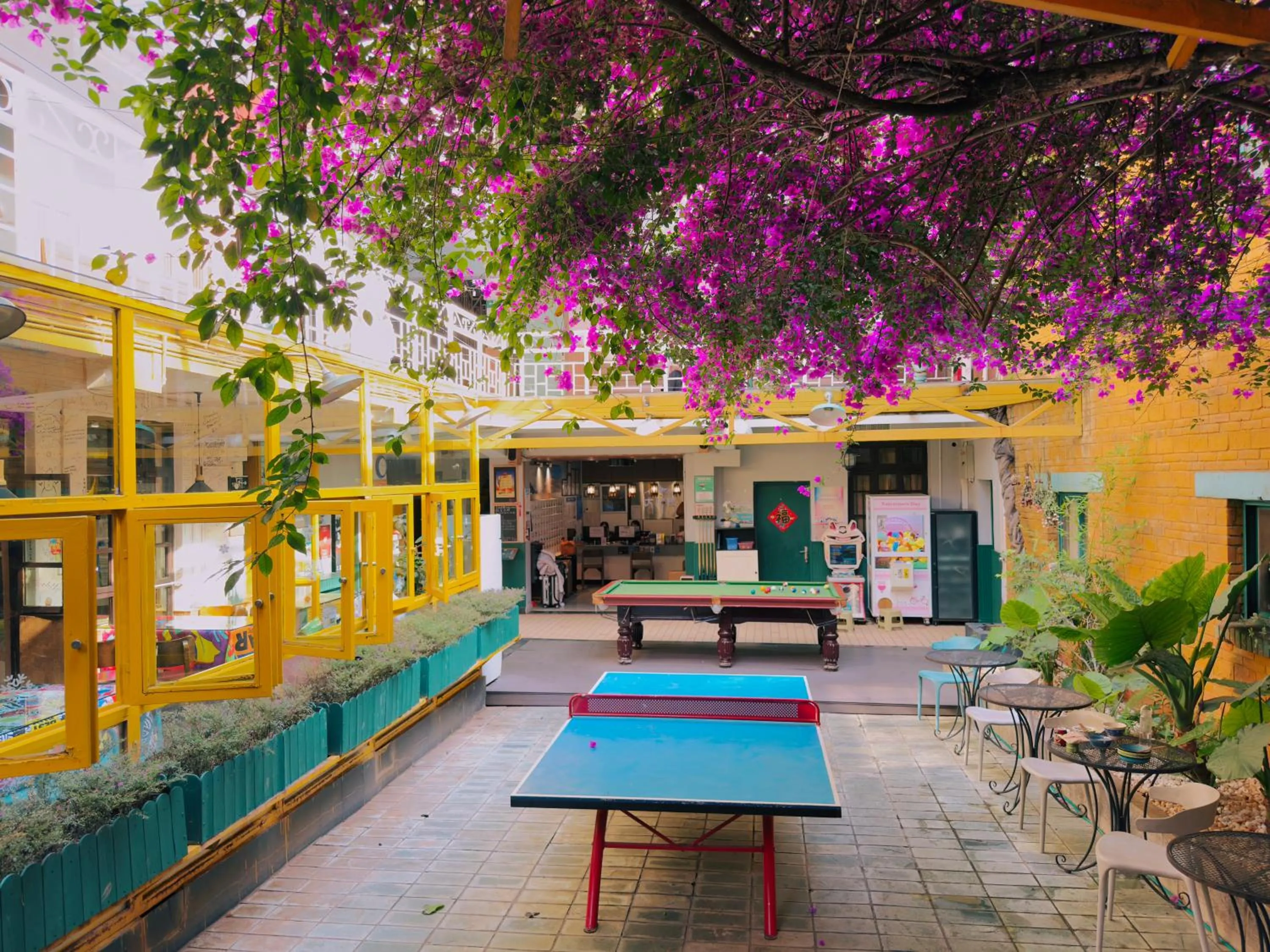 Day in The Cloudland International Youth Hostel Close to the city center,15 min walks to the subway, Close to the night market, old street, green lake, English-speaking service, free Activity convenient payment and visa cards are accepted