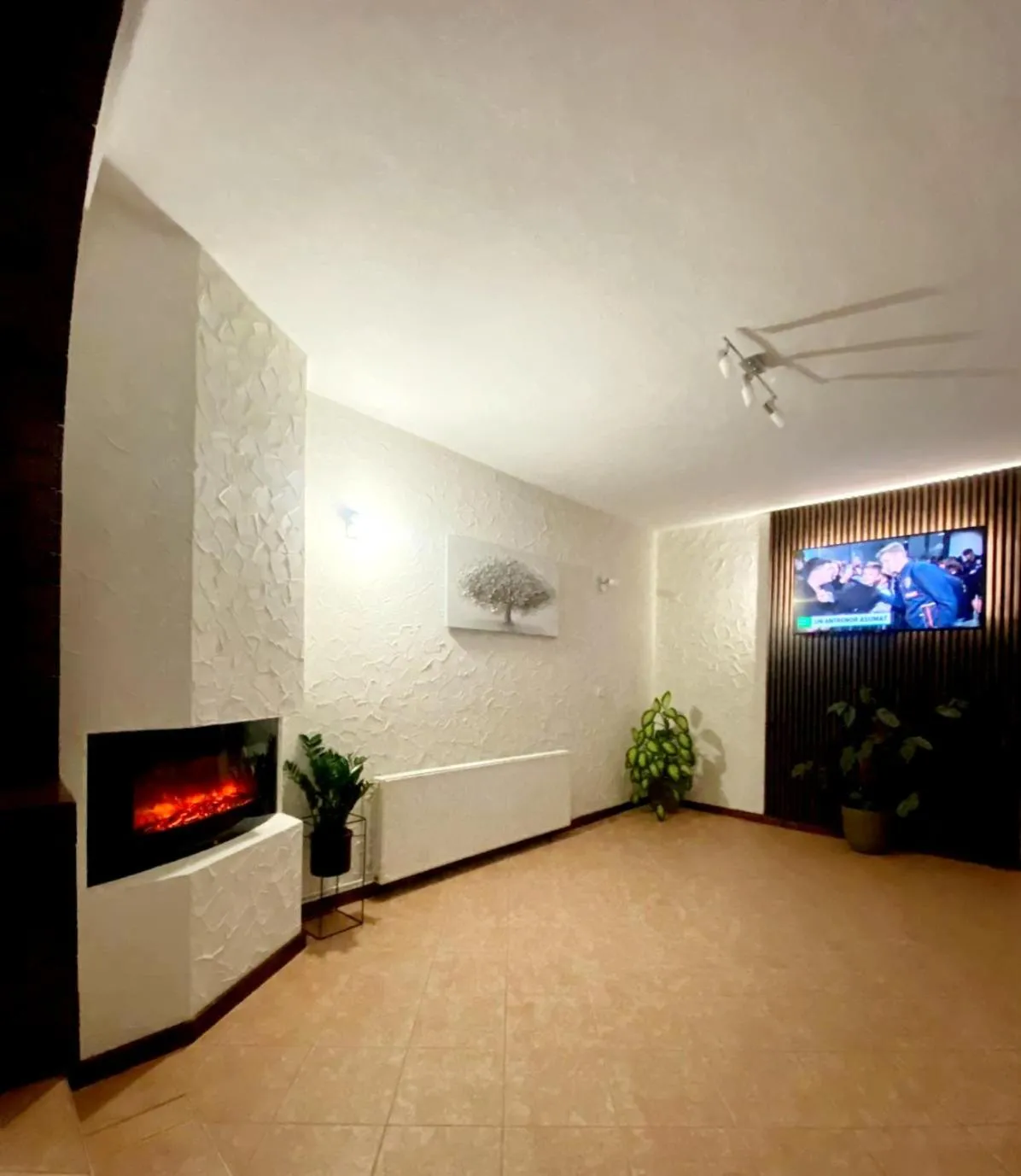 TV and multimedia in Vila Silvana