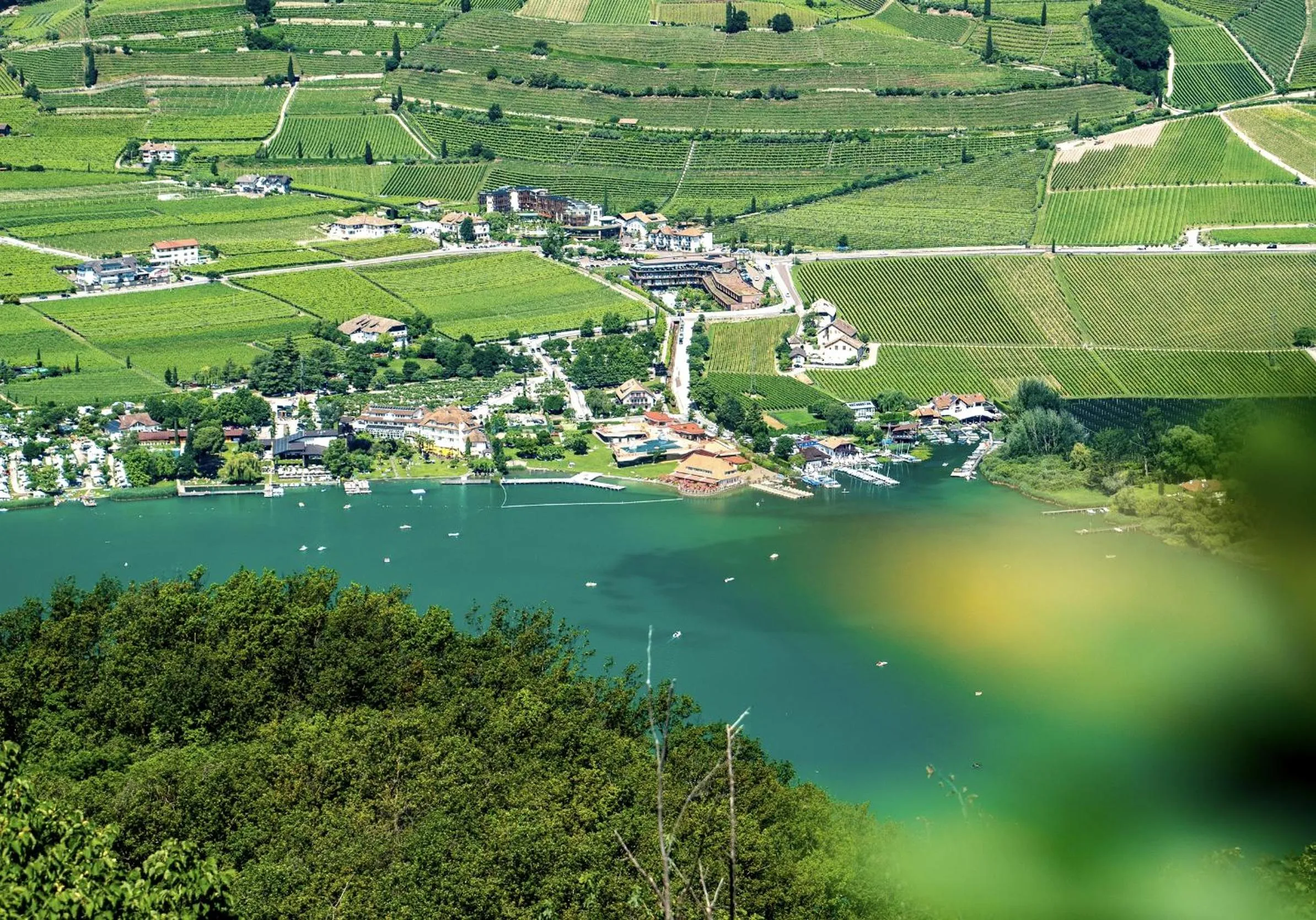 Natural landscape in Chalet Agave
