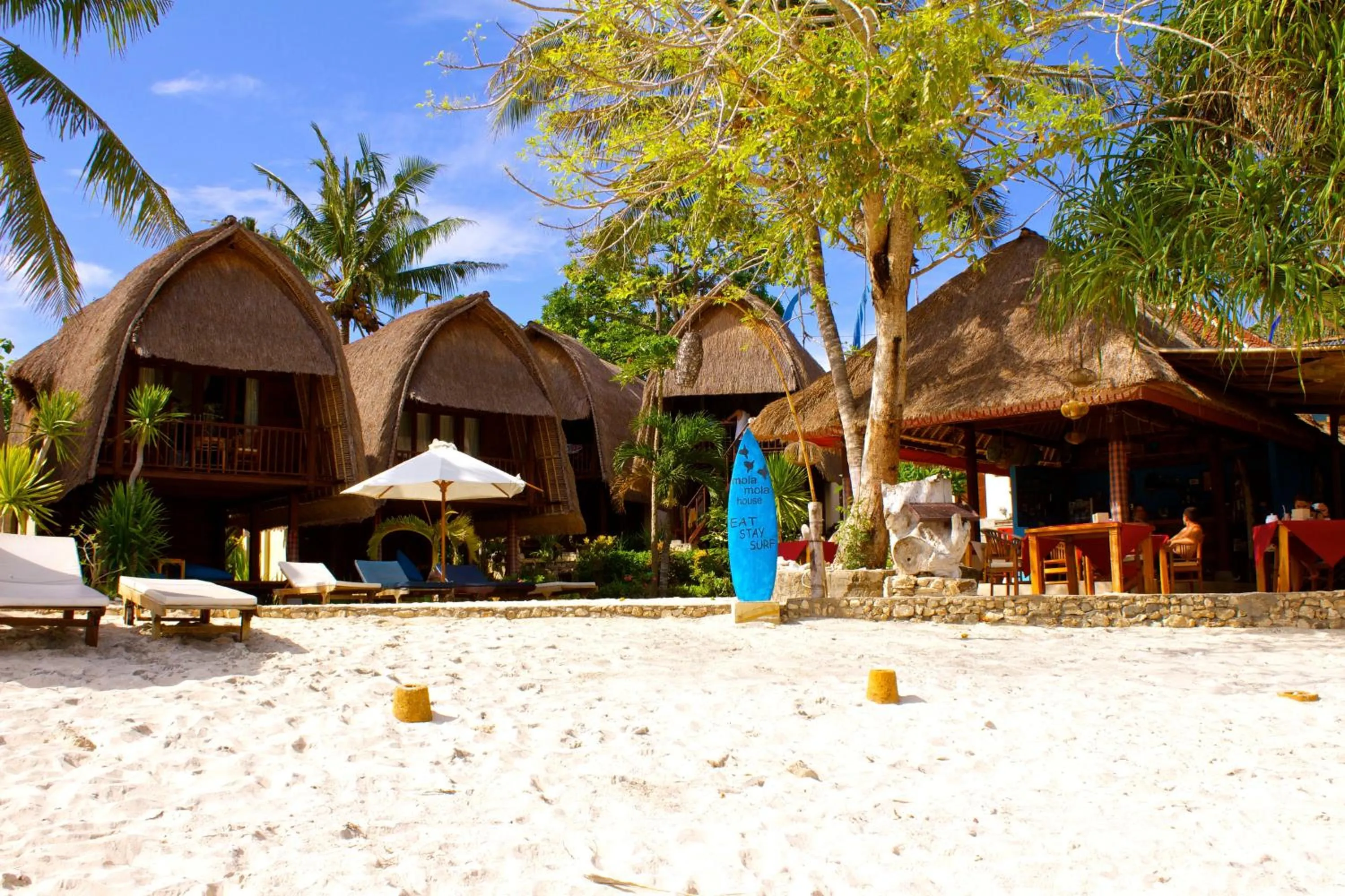 Area and facilities in MolaMola House