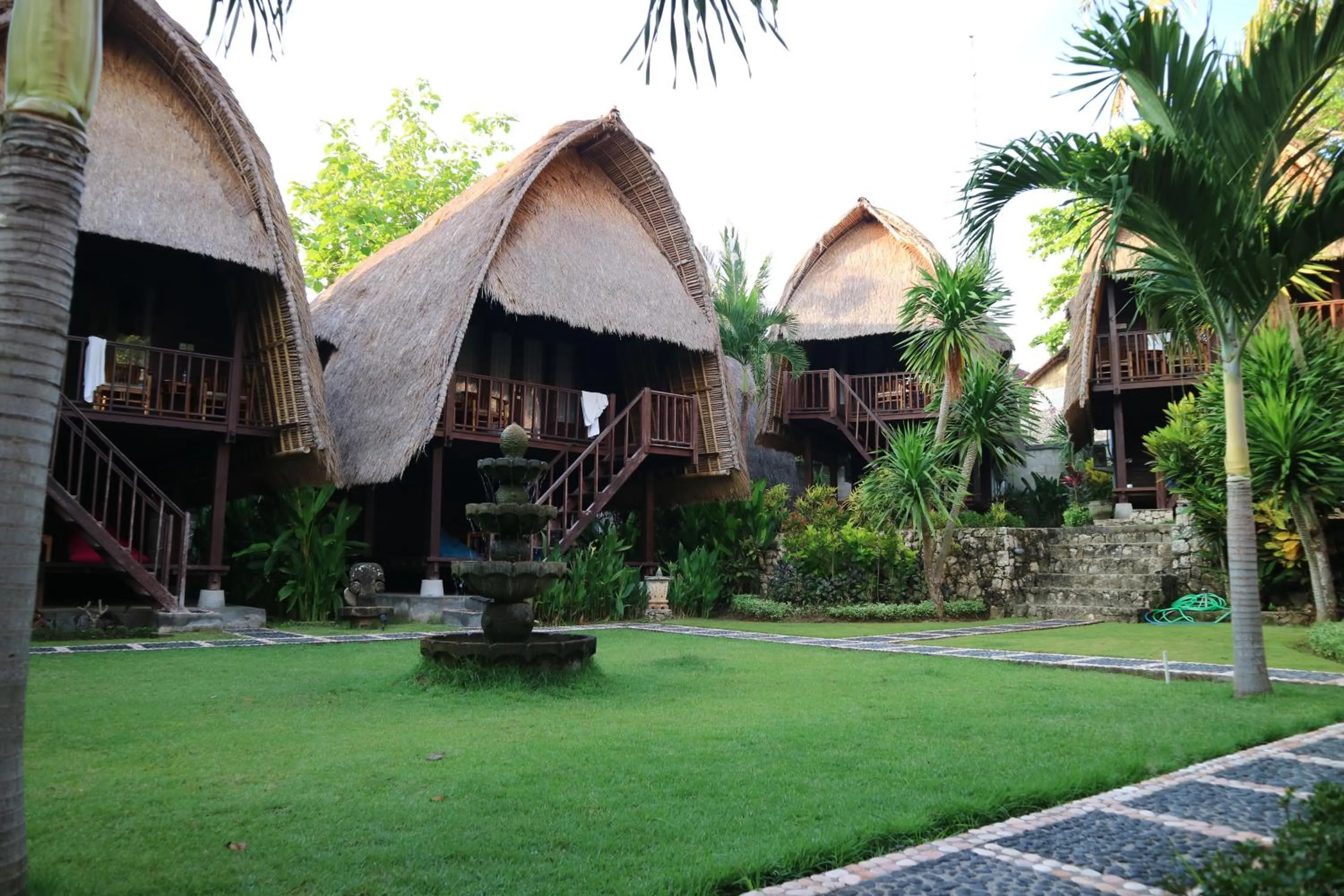 Garden in MolaMola House