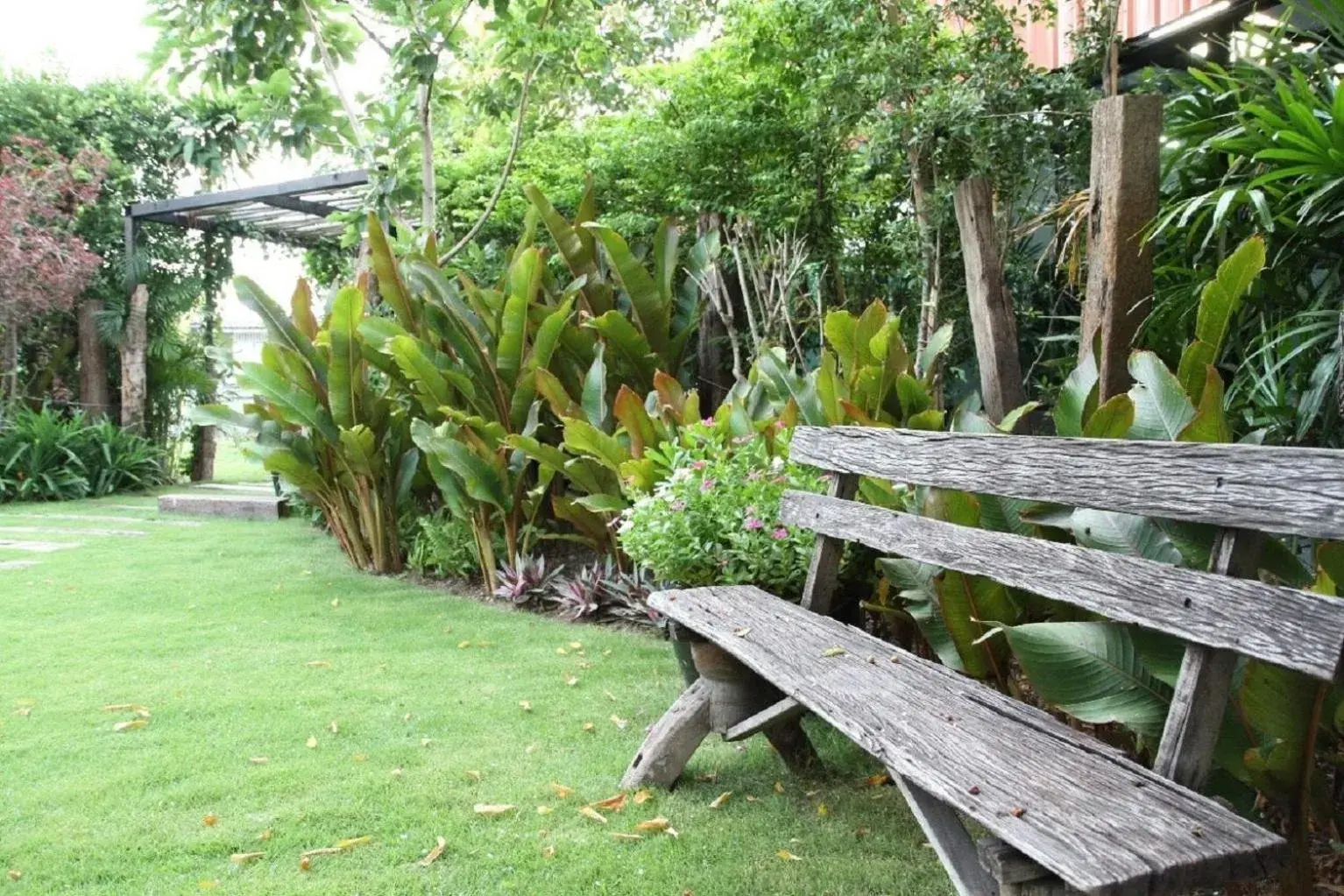 Natural landscape, Garden in The Loft Resort Bangkok