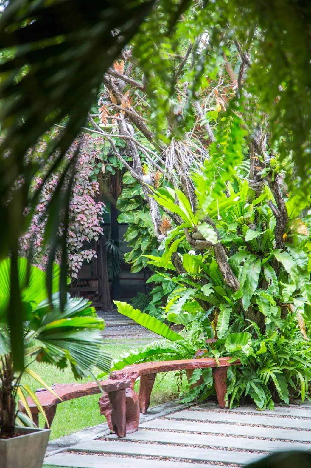 Garden in The Loft Resort Bangkok