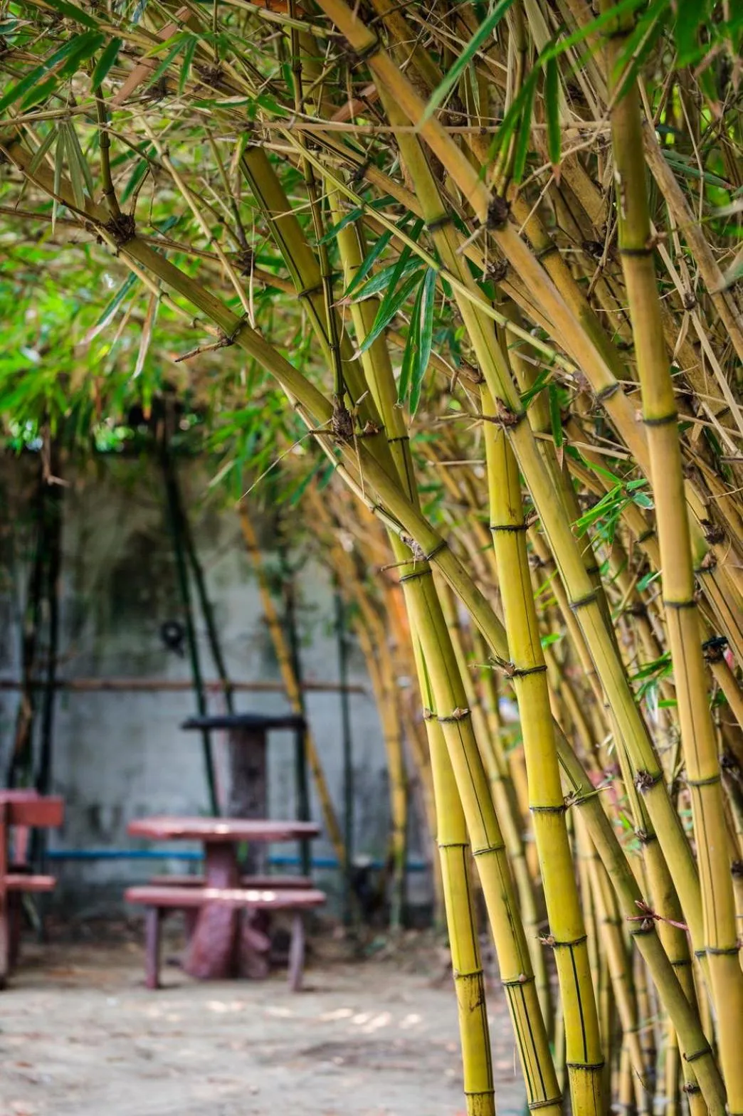 Decorative detail in The Loft Resort Bangkok