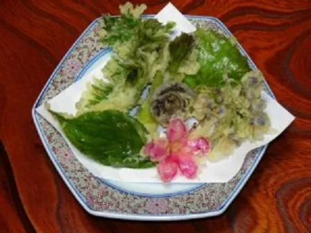 Food in Shukubo Kansho-in Temple Sanrakuso