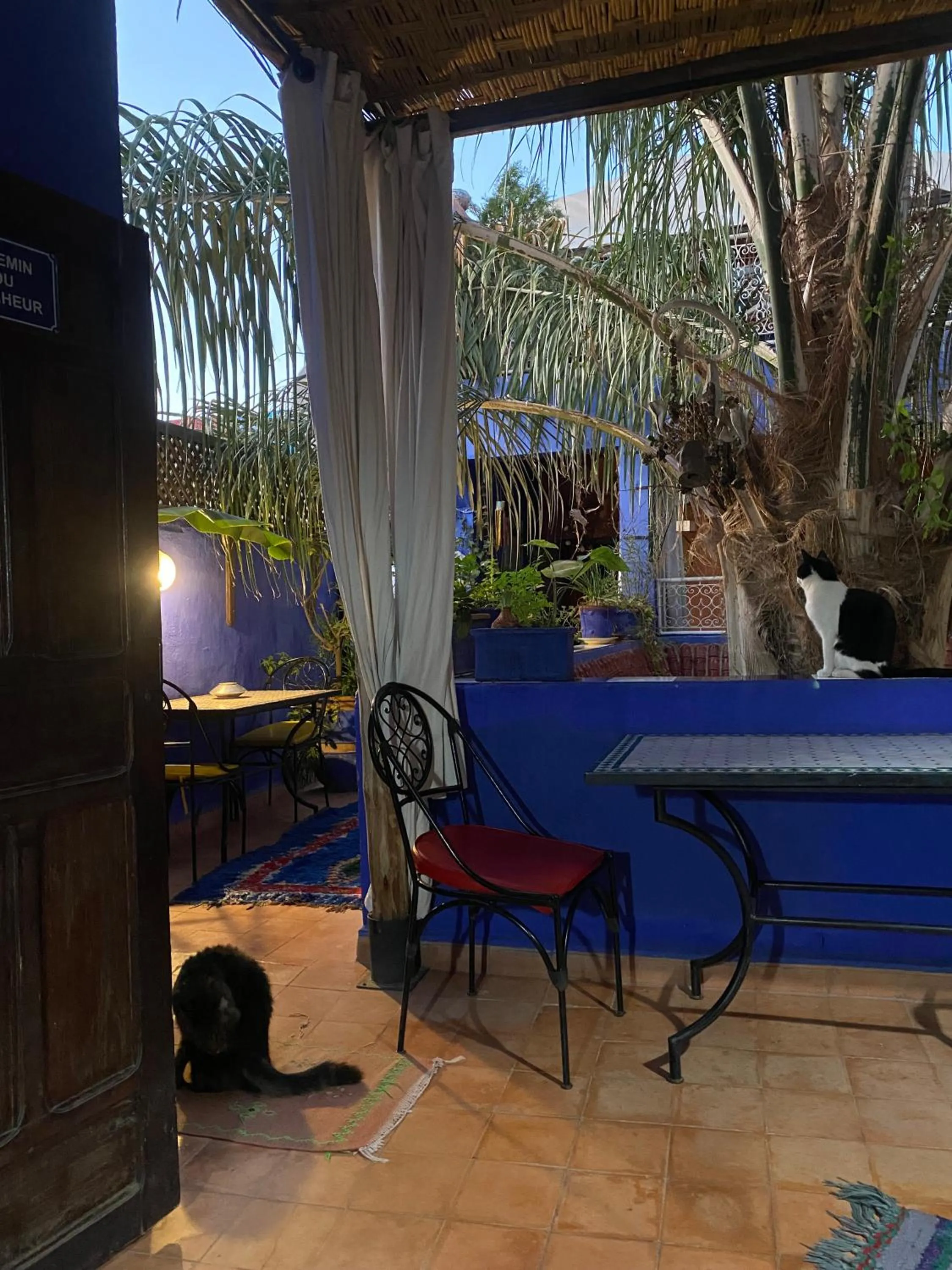 Patio in Riad Alamine