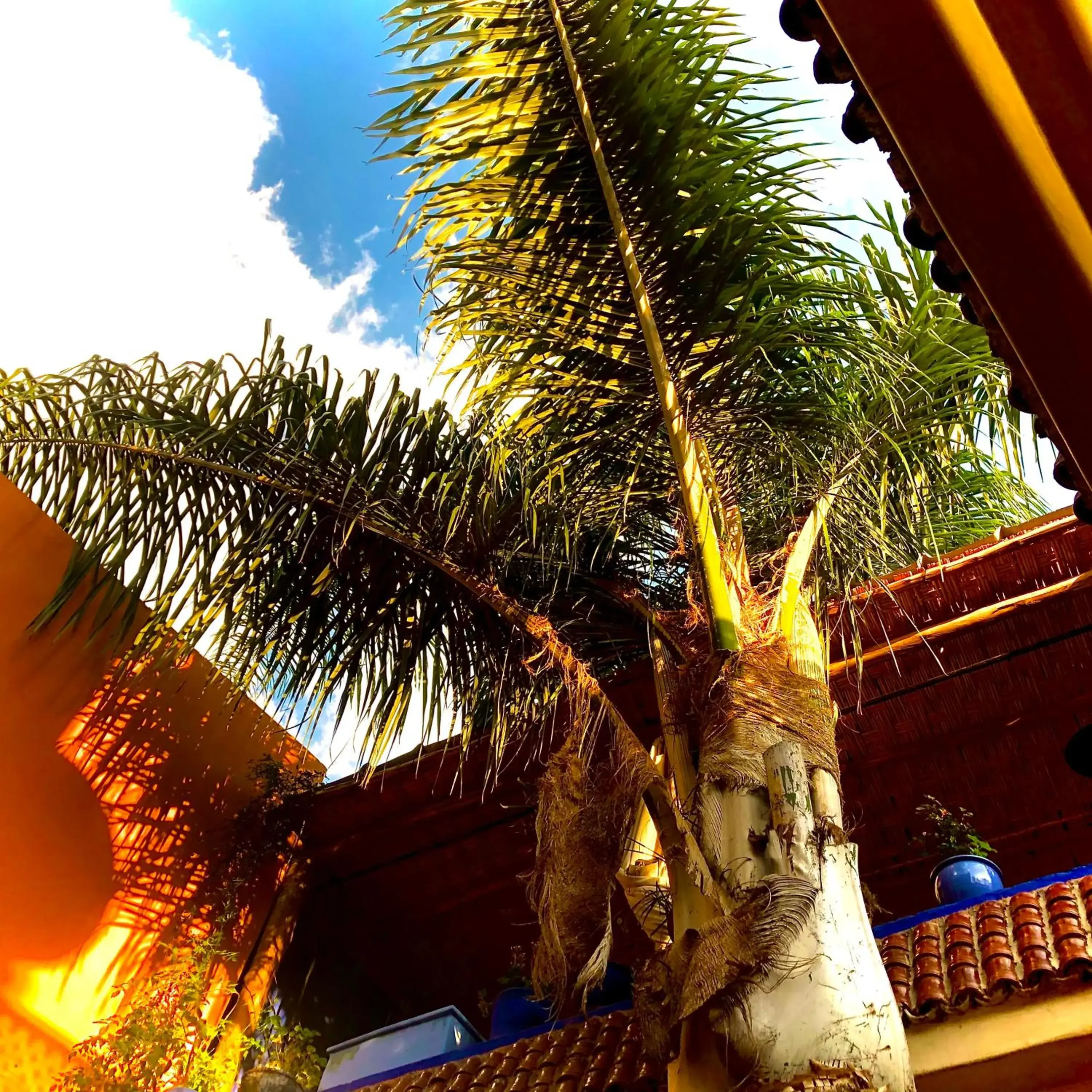 Patio in Riad Alamine