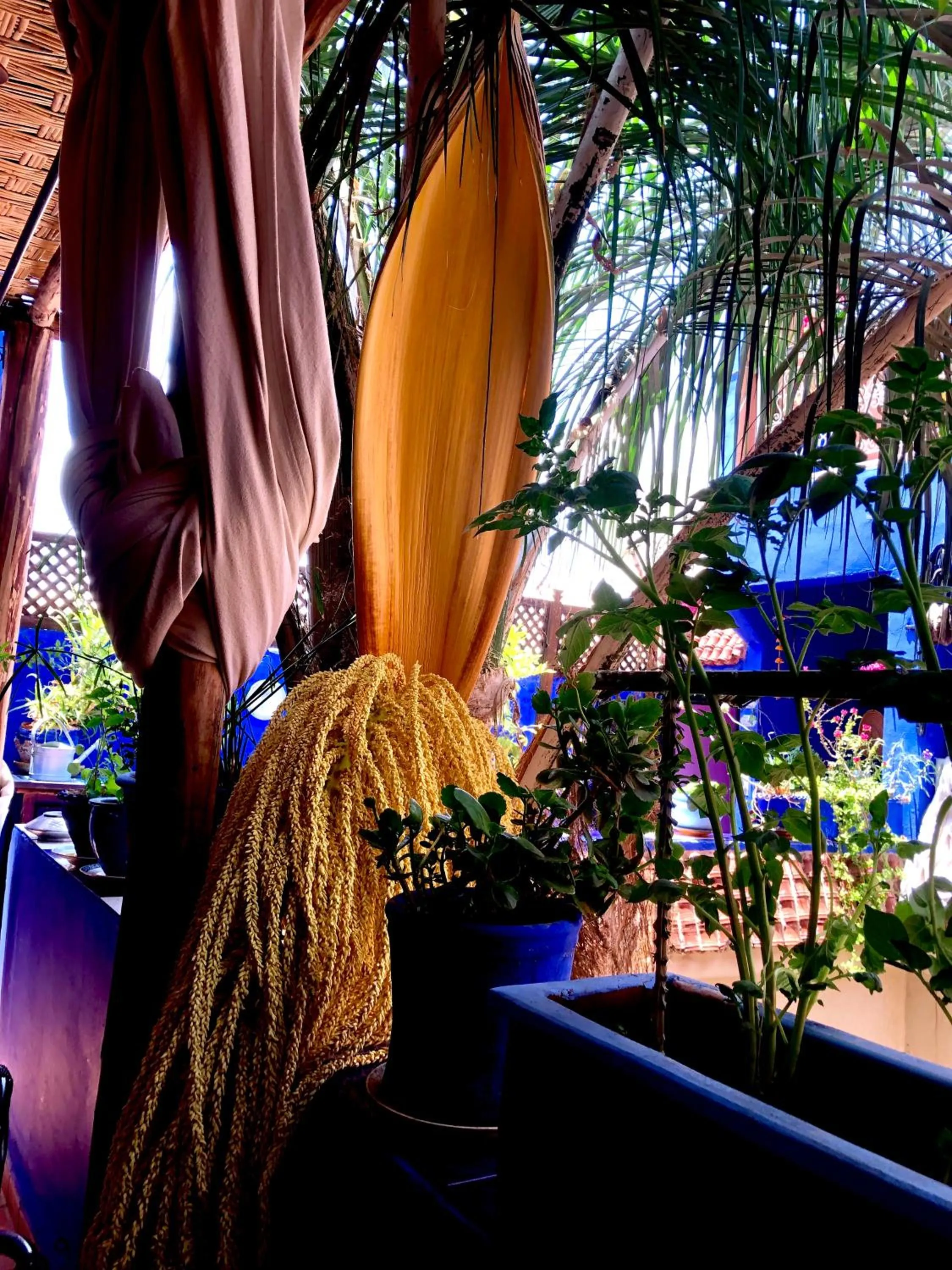 Patio in Riad Alamine