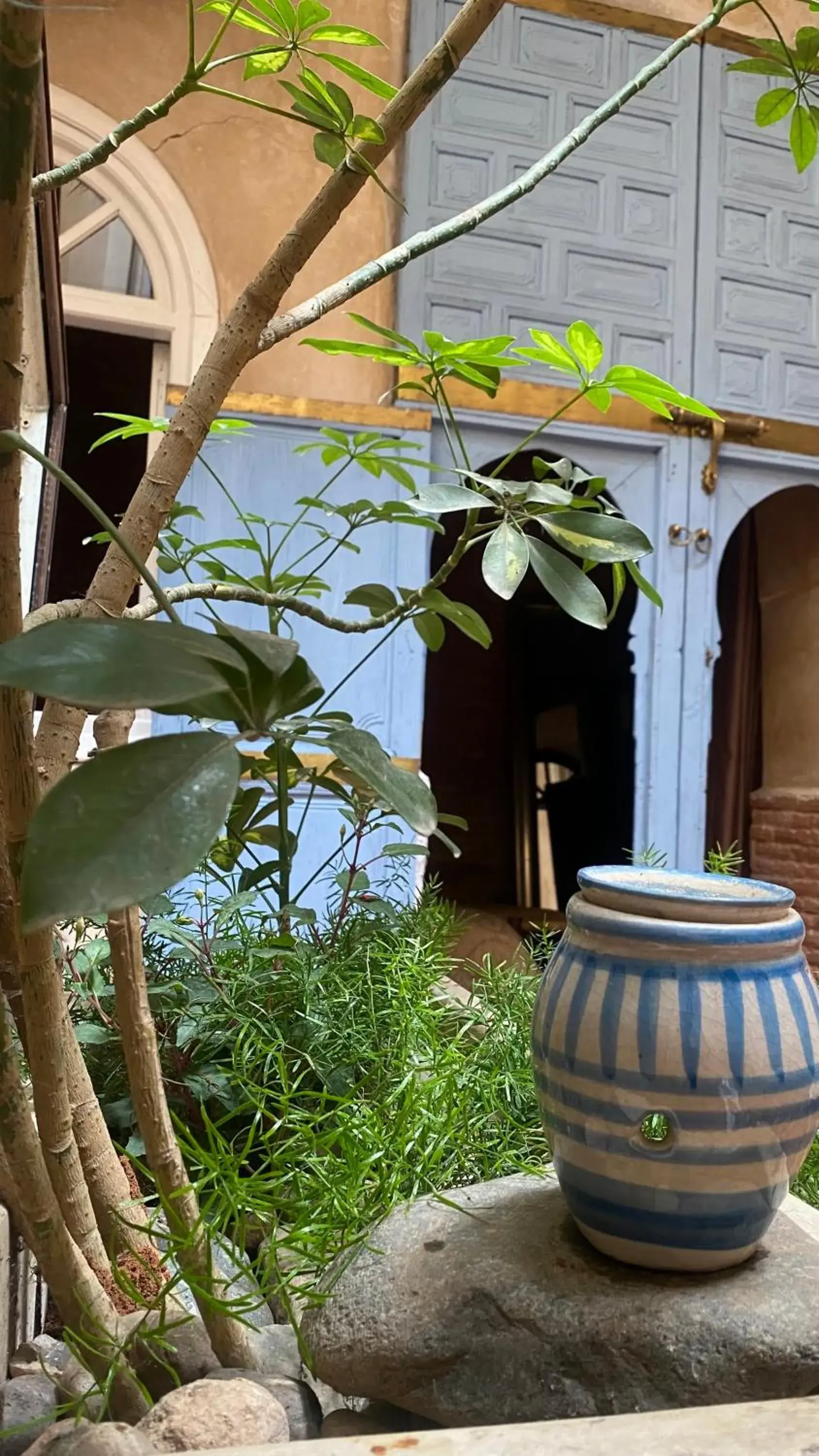 Patio in Riad Alamine