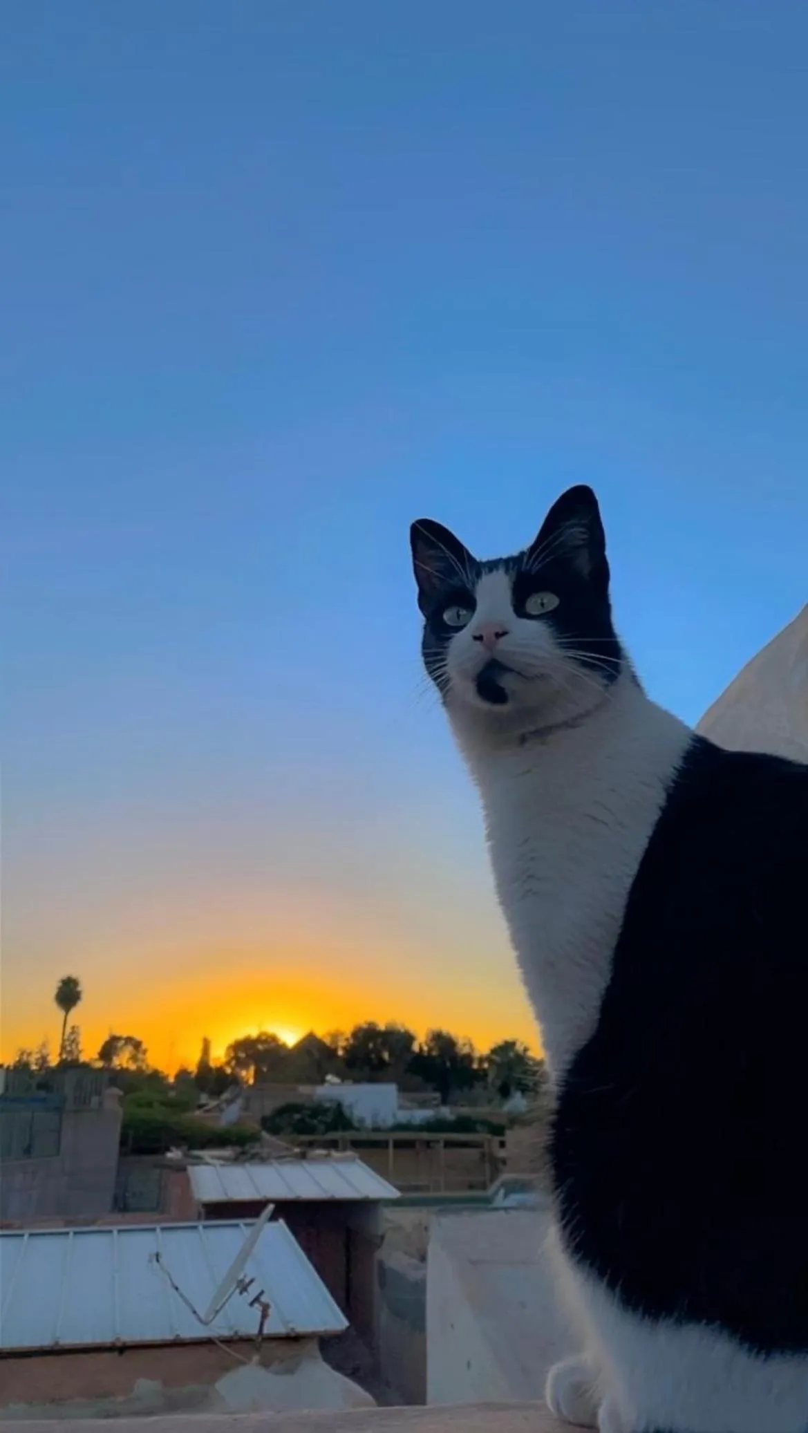 View (from property/room) in Riad Alamine