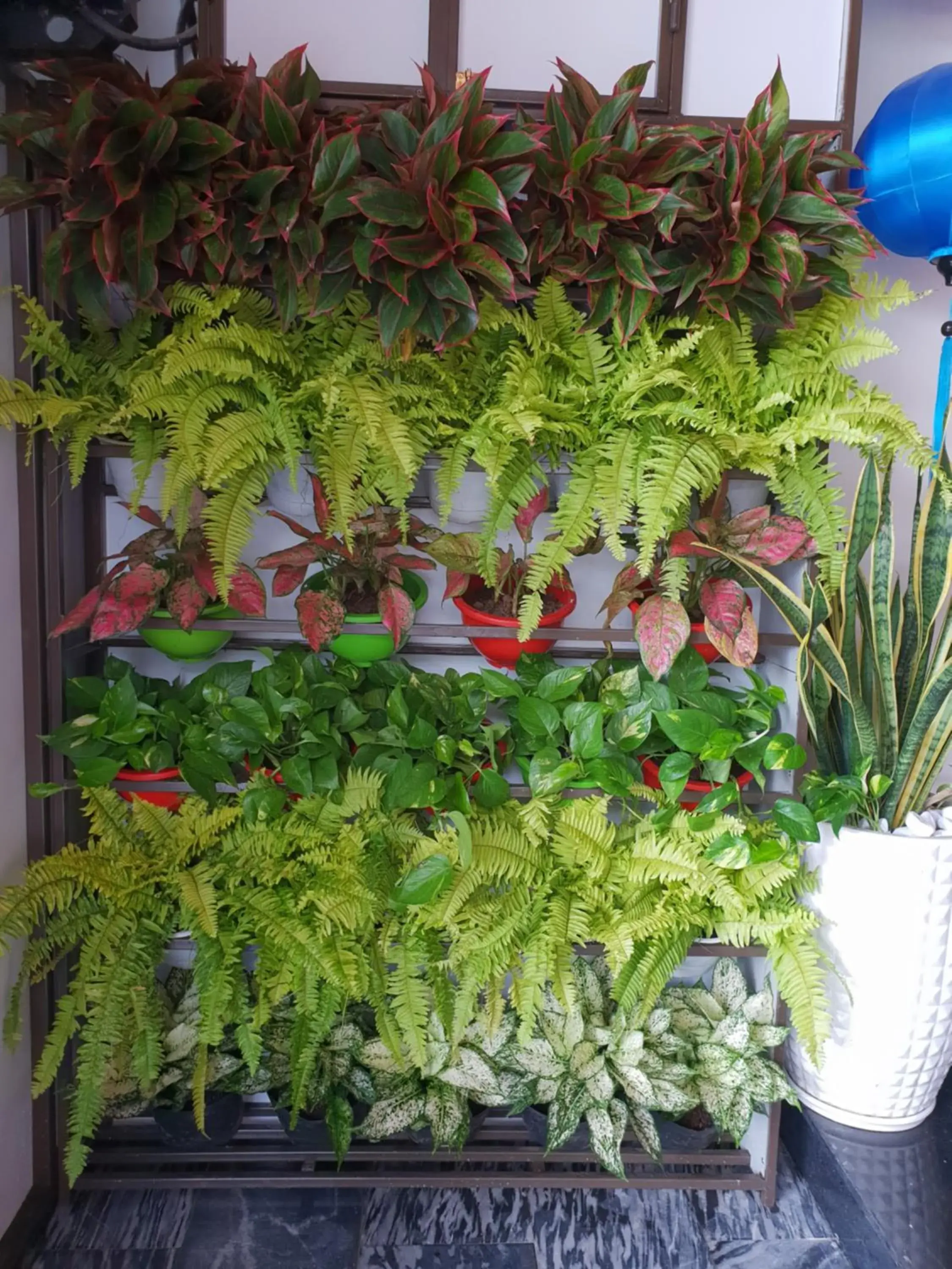 Lobby or reception in Southern Hotel Hoi An Lobby or reception in Southern Hotel Hoi An